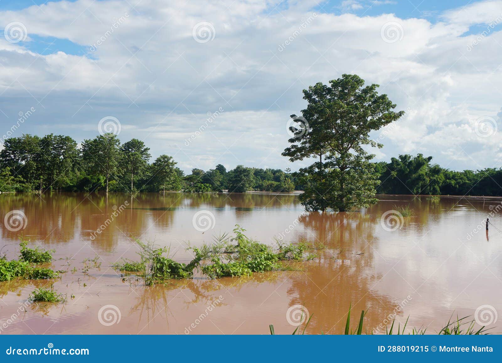 the flooding spread over a wide area. el niÃ±o and la niÃ±a phenomena. climate change.