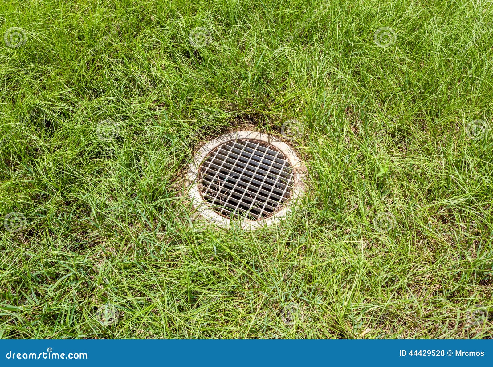 Floor Drain Contrast with Green Grass Background Stock Photo Image of