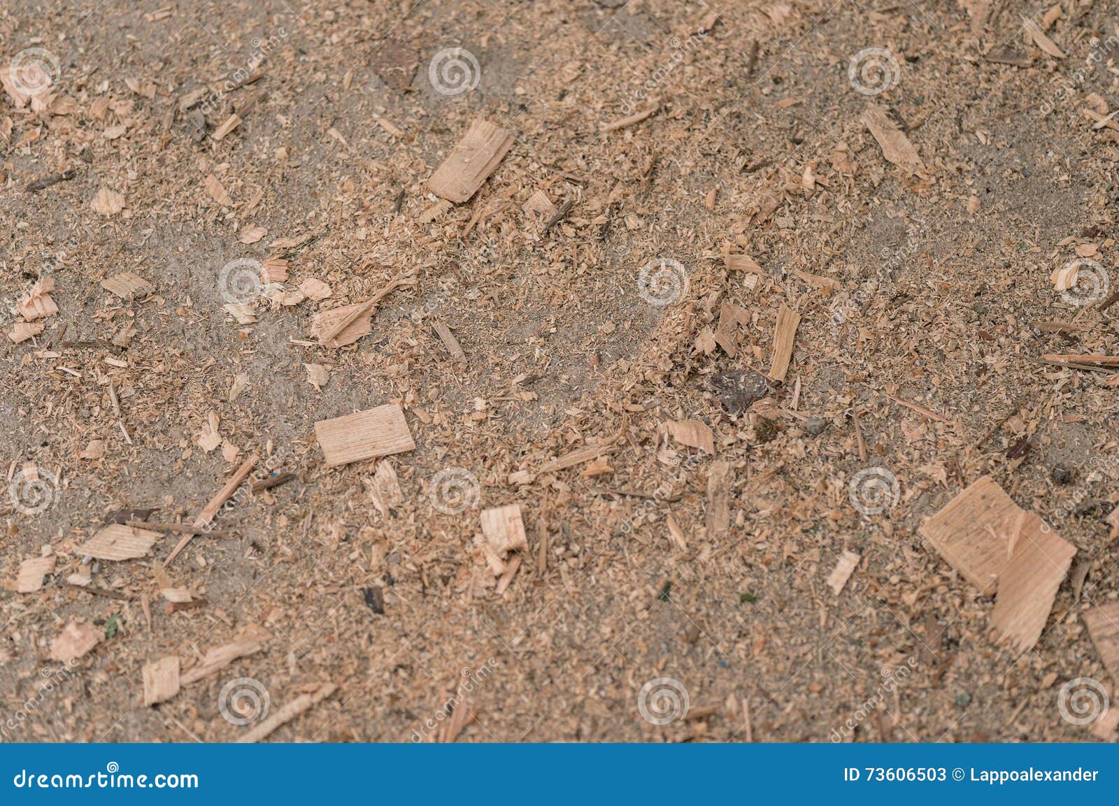 Floor In The Sawdust Stock Image Image Of Structure 73606503