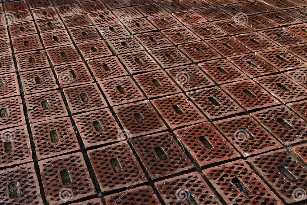 Floor Tile Designs in Sri Lanka Stock Photo Image of door, fllow