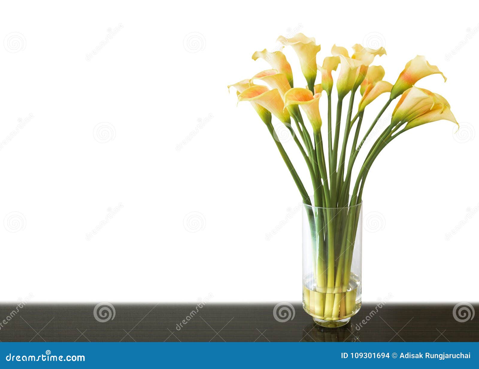 Flor Amarela Do Lírio De Calla No Vaso Foto de Stock - Imagem de calhas,  isolado: 109301694