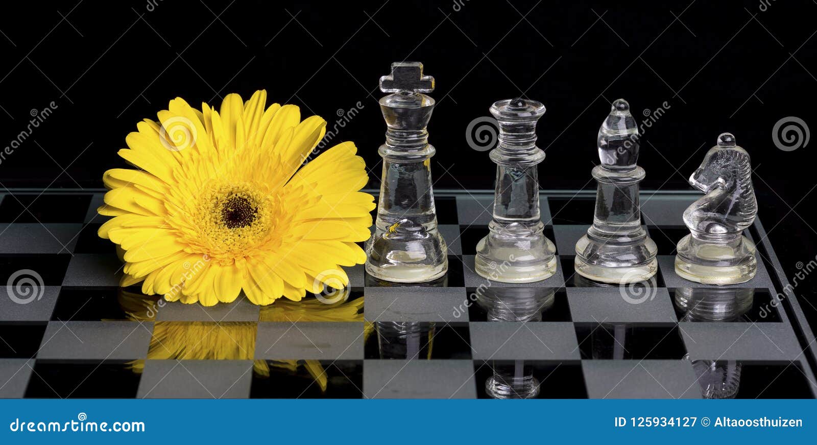 Foto de Cavalo Branco Que Bate Um Rei Preto Fim Do Jogo De Xadrez Com Um  Xequemate e mais fotos de stock de Adulto - iStock