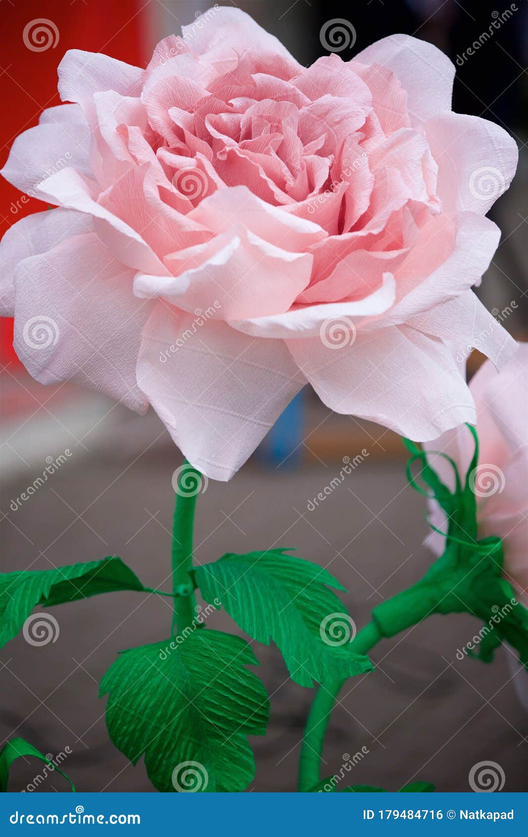 Flor Artificial Rosa Grande Foto de archivo - Imagen de boda, cubo:  179484716