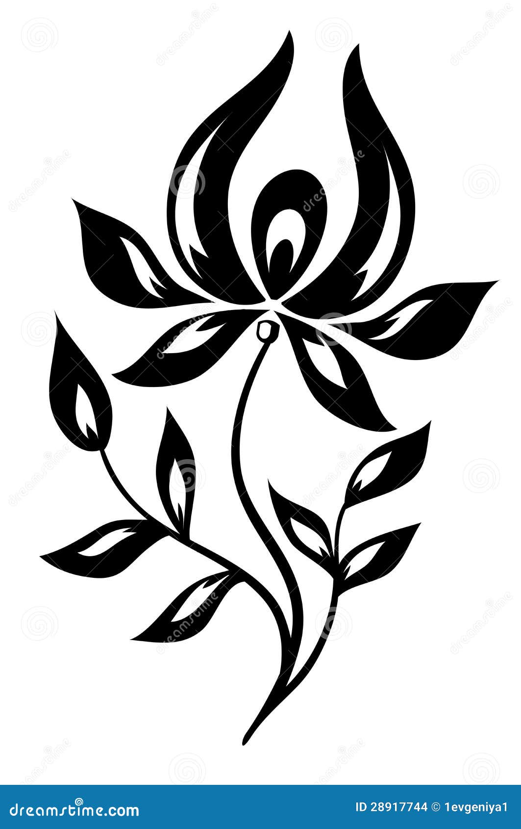 Flor blanca negra aislada ilustración del vector. Ilustración de fondo -  28917744