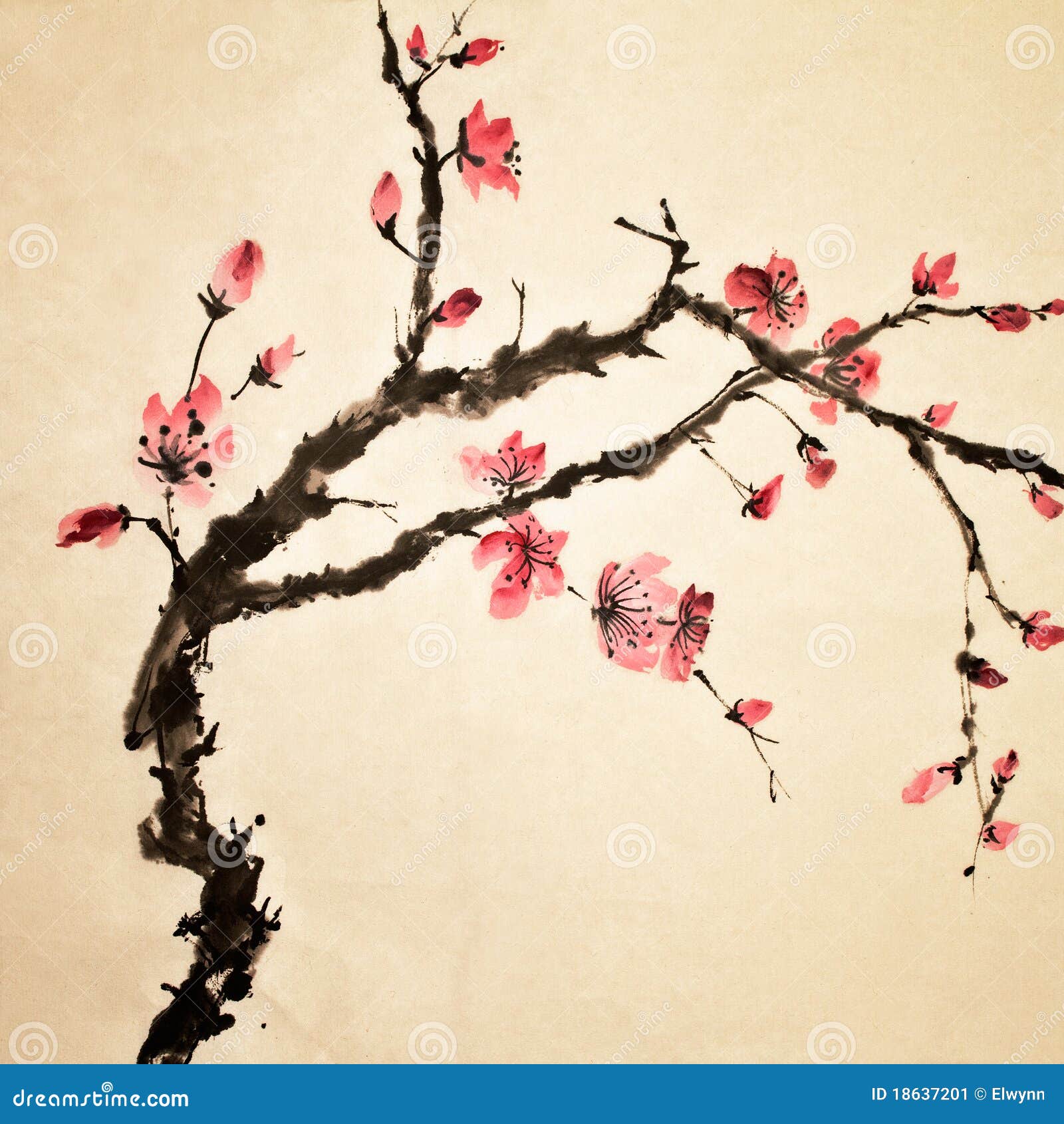 Flor china stock de ilustración. Ilustración de belleza - 18637201 Flor china stock de ilustración. Ilustración de belleza - 18637201
