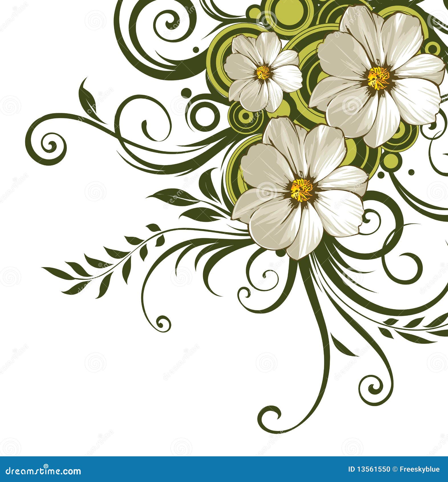 flor da margarida branca e videiras verdes 13561550