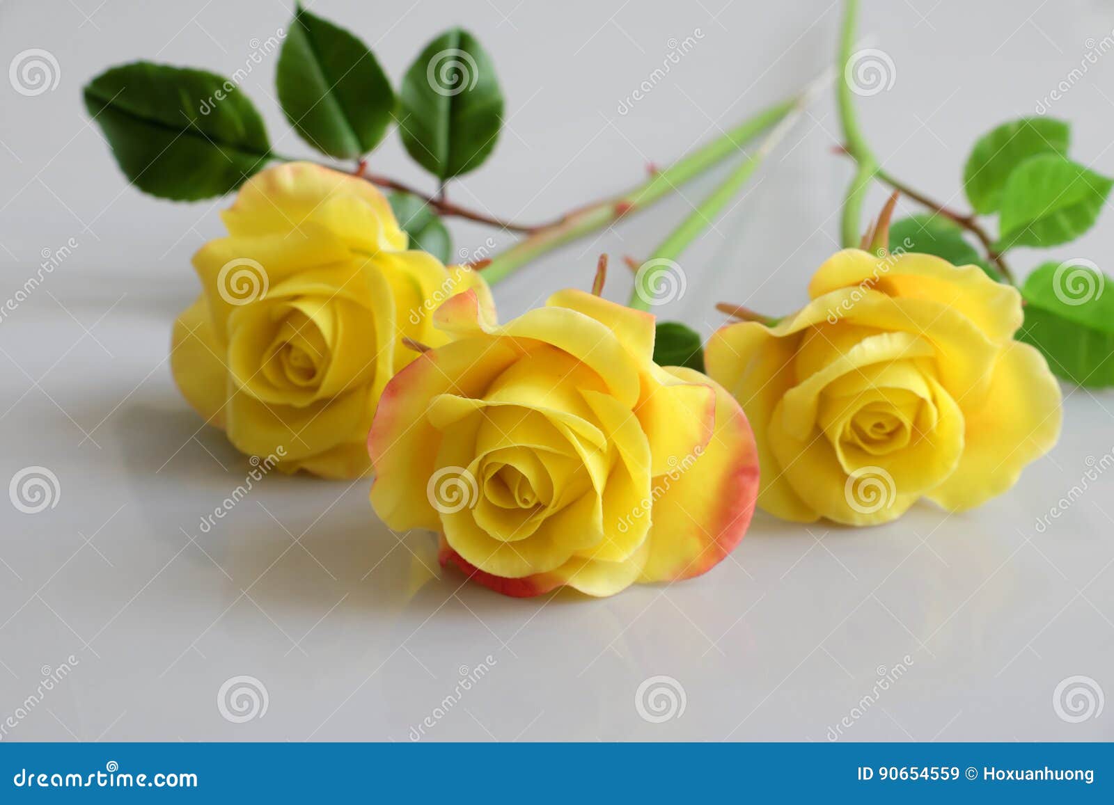 Flor Das Rosas Amarelas Da Argila No Fundo Branco Imagem de Stock - Imagem  de flor, amarelo: 90654559