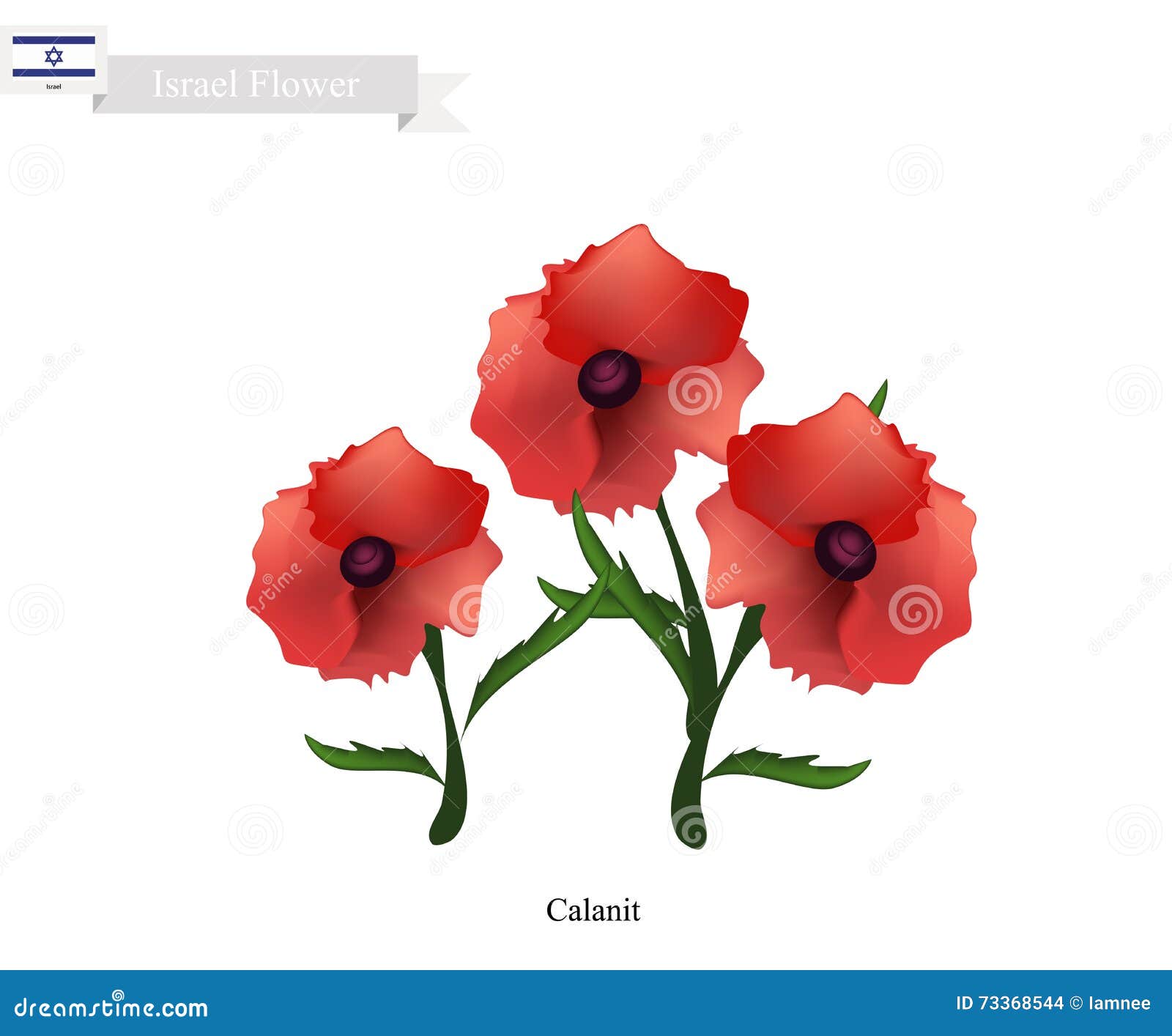 Flor De Calanit, a Flor Nacional De Israel Ilustração do Vetor - Ilustração  de bandeira, crescimento: 73368544