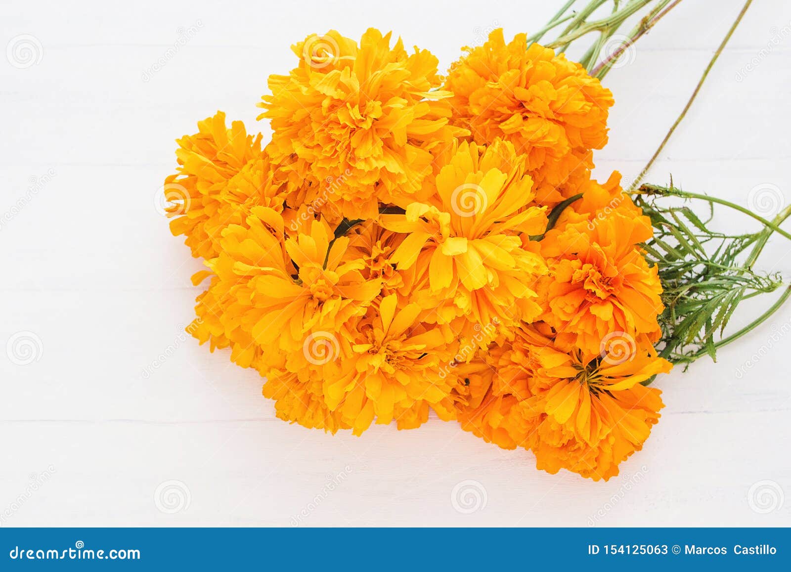 Flor De Cempasuchil, Mexican Flowers in Day of the Dead MÃ©xico Stock Image  - Image of culture, beauty: 154125063