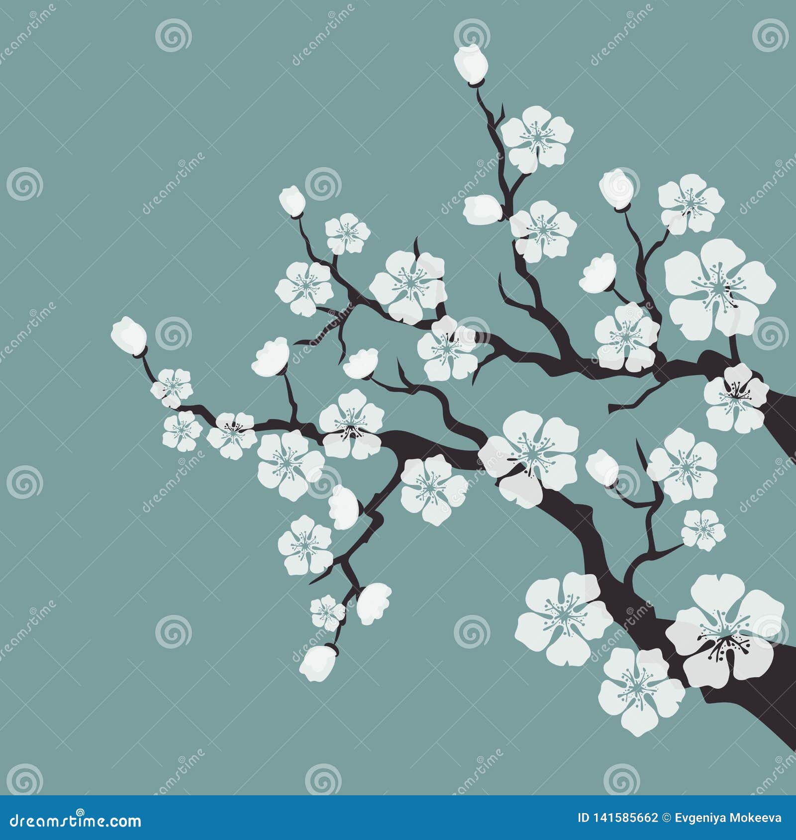 Flor De Cerezo, Flores De Sakura En Fondo Azul Ilustración del Vector -  Ilustración de planta, blanco: 141585662