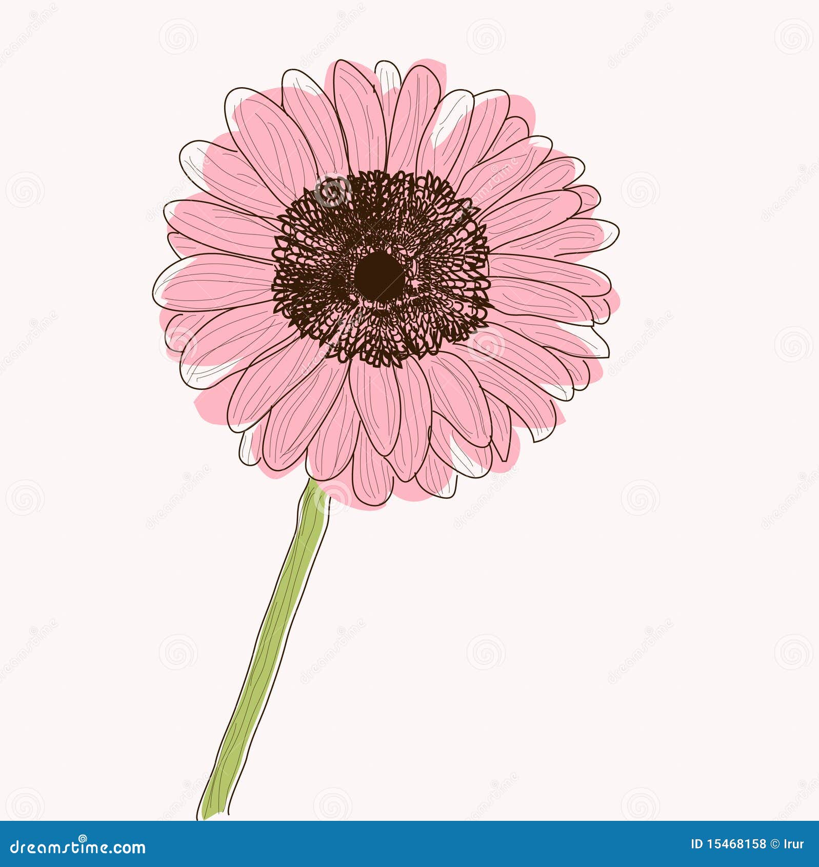 Margarita de gerbera ilustración del vector. Ilustración de aroma - 15468158, image size:1597x1690