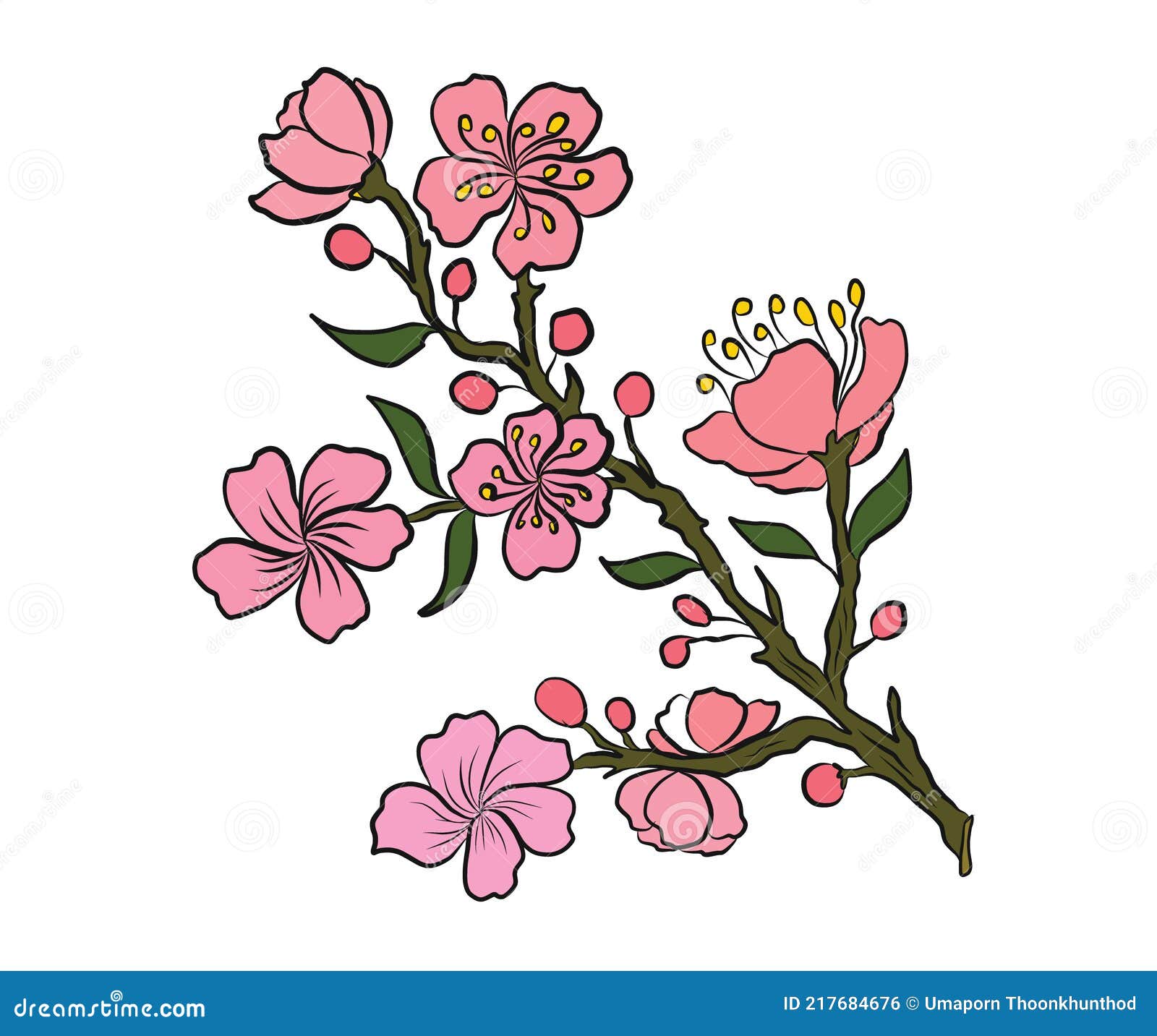 Flor De Melocotón Y Conjunto De Flores De Cerezo. Ilustración del Vector -  Ilustración de aislado, creativo: 217684676