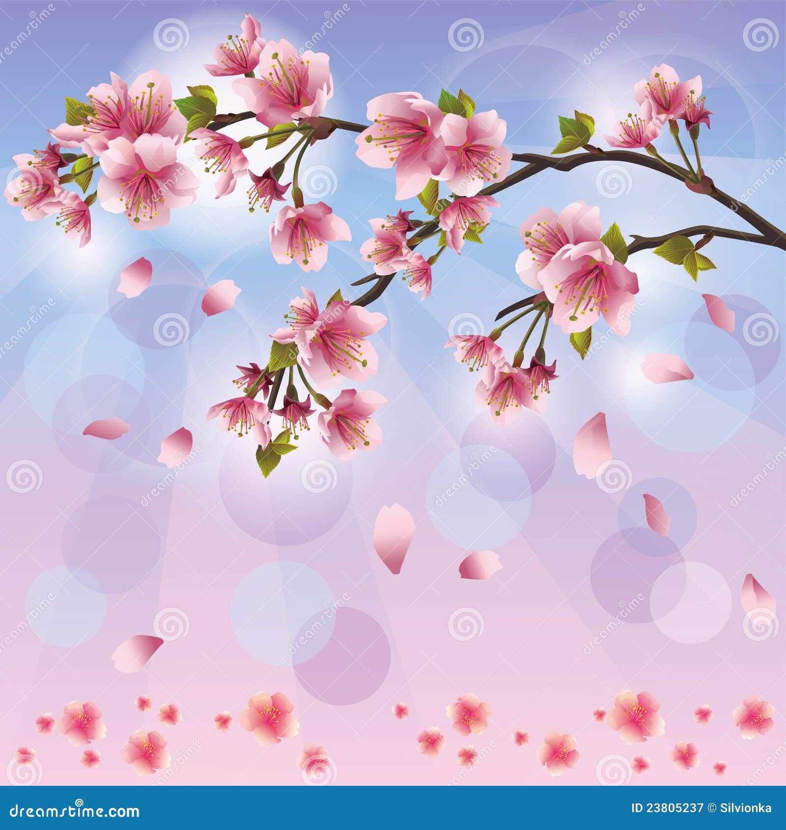 Flor De Sakura - Cerezo Japonés Ilustración del Vector - Ilustración de  fondo, flora: 23805237