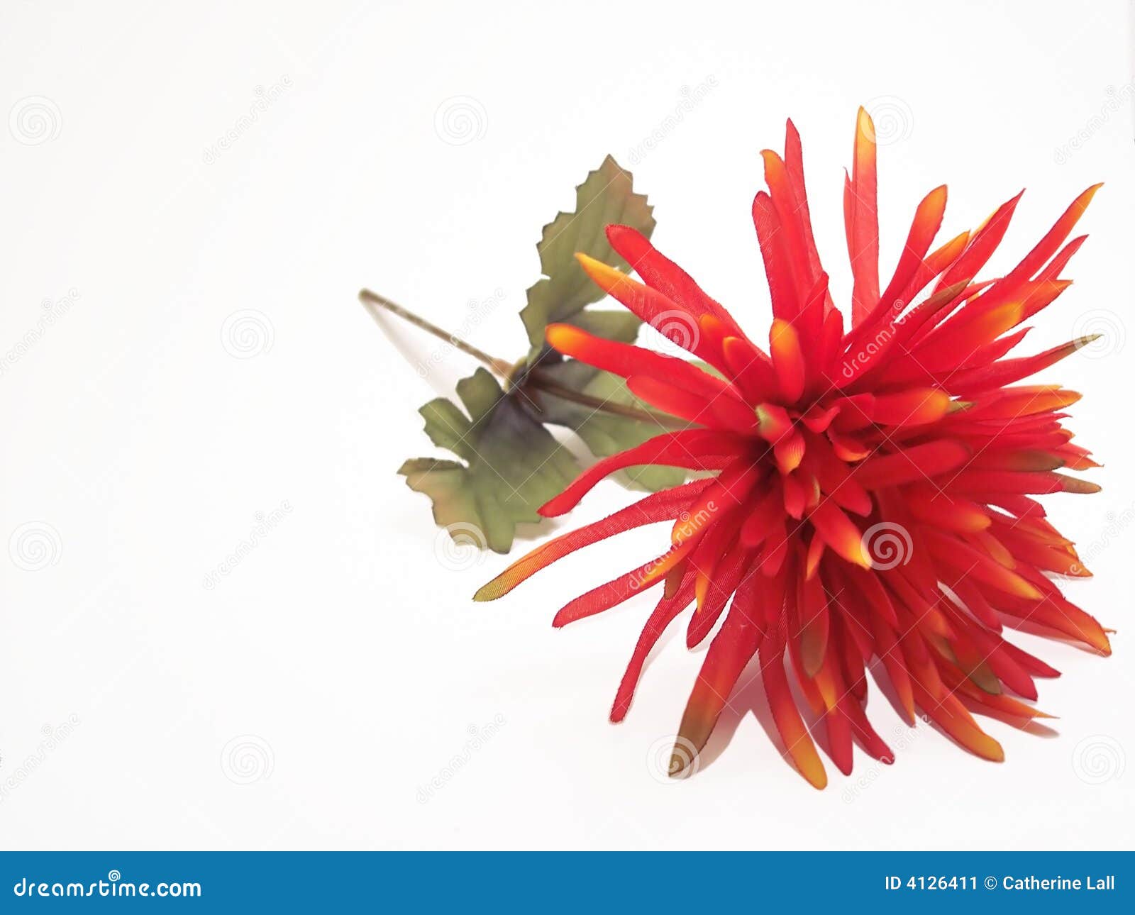 Flor de seda vermelha imagem de stock. Imagem de alaranjado - 4126411