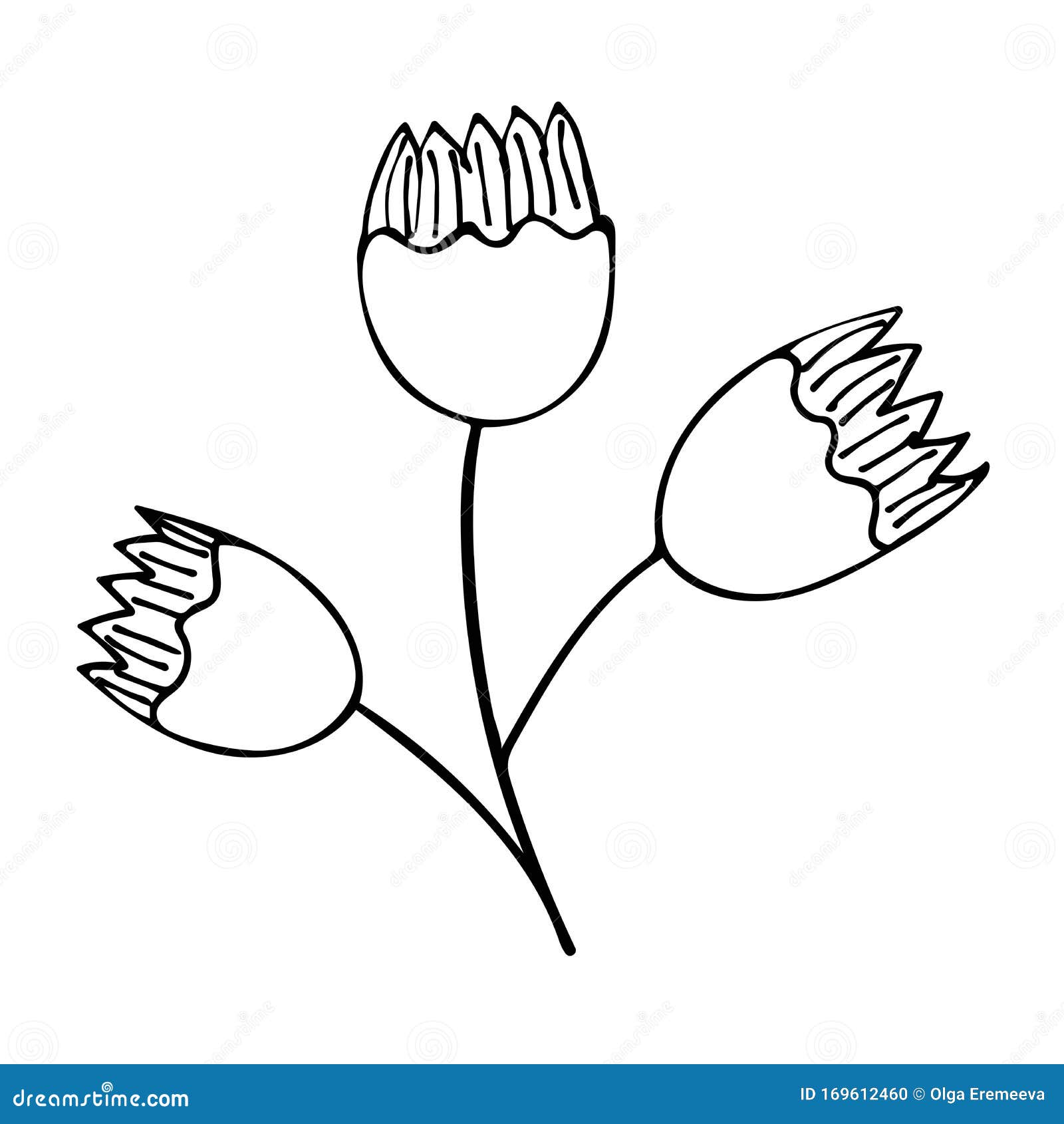 Flor De Verano De Primavera Al Estilo De Los Doodles Dibujo Sencillo Stock de ilustración - Ilustración de retro, contexto: 169612460 Flor De Verano De Primavera Al Estilo De Los Doodles Dibujo Sencillo Stock de ilustración - Ilustración de retro, contexto: 169612460