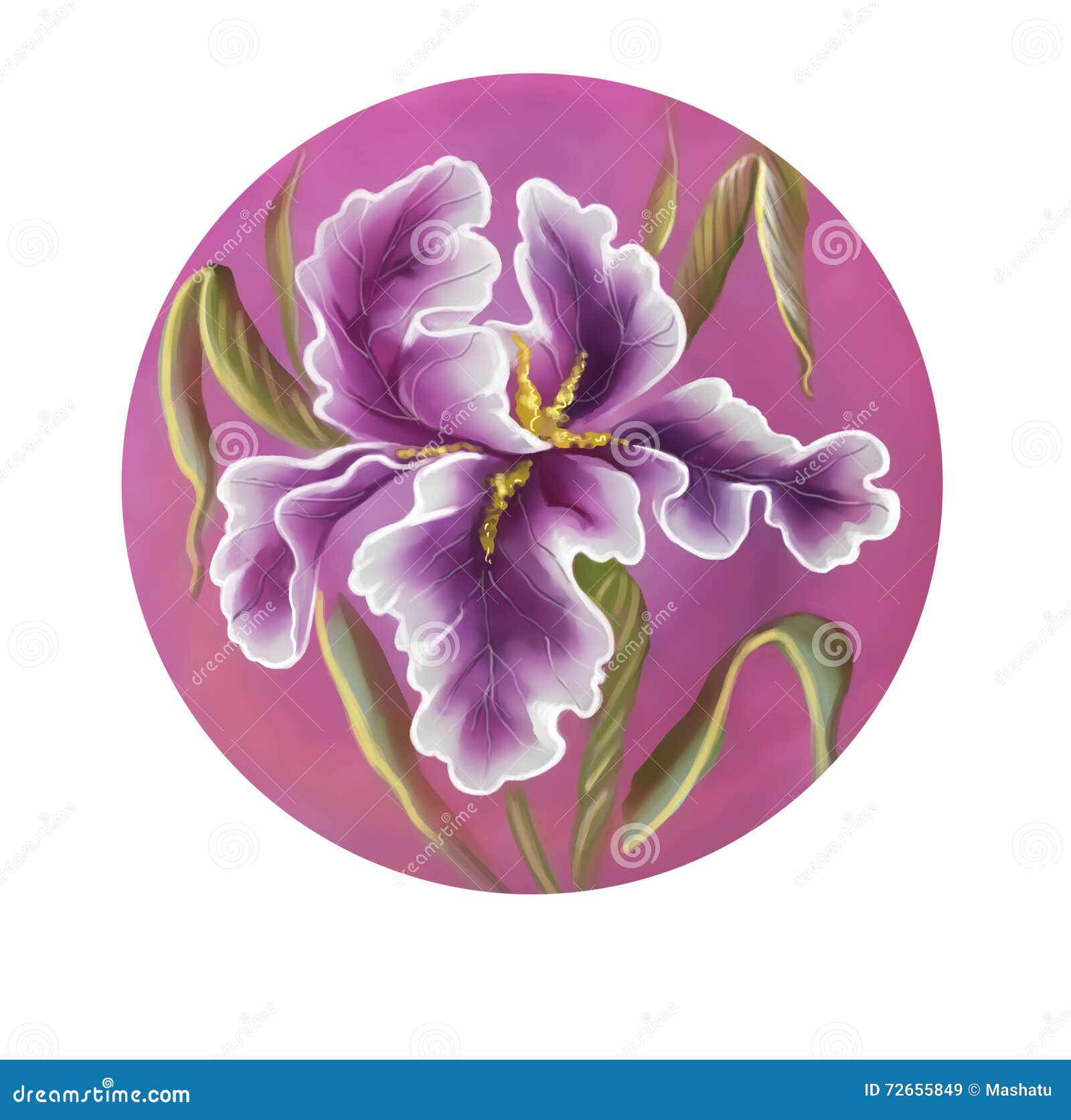 Flor Del Dibujo Del Iris Por La Acuarela, Ejemplo Dibujado Mano Stock de ilustración - Ilustración de ilustraciones, ramo: 72655849 Flor Del Dibujo Del Iris Por La Acuarela, Ejemplo Dibujado Mano Stock de ilustración - Ilustración de ilustraciones, ramo: 72655849