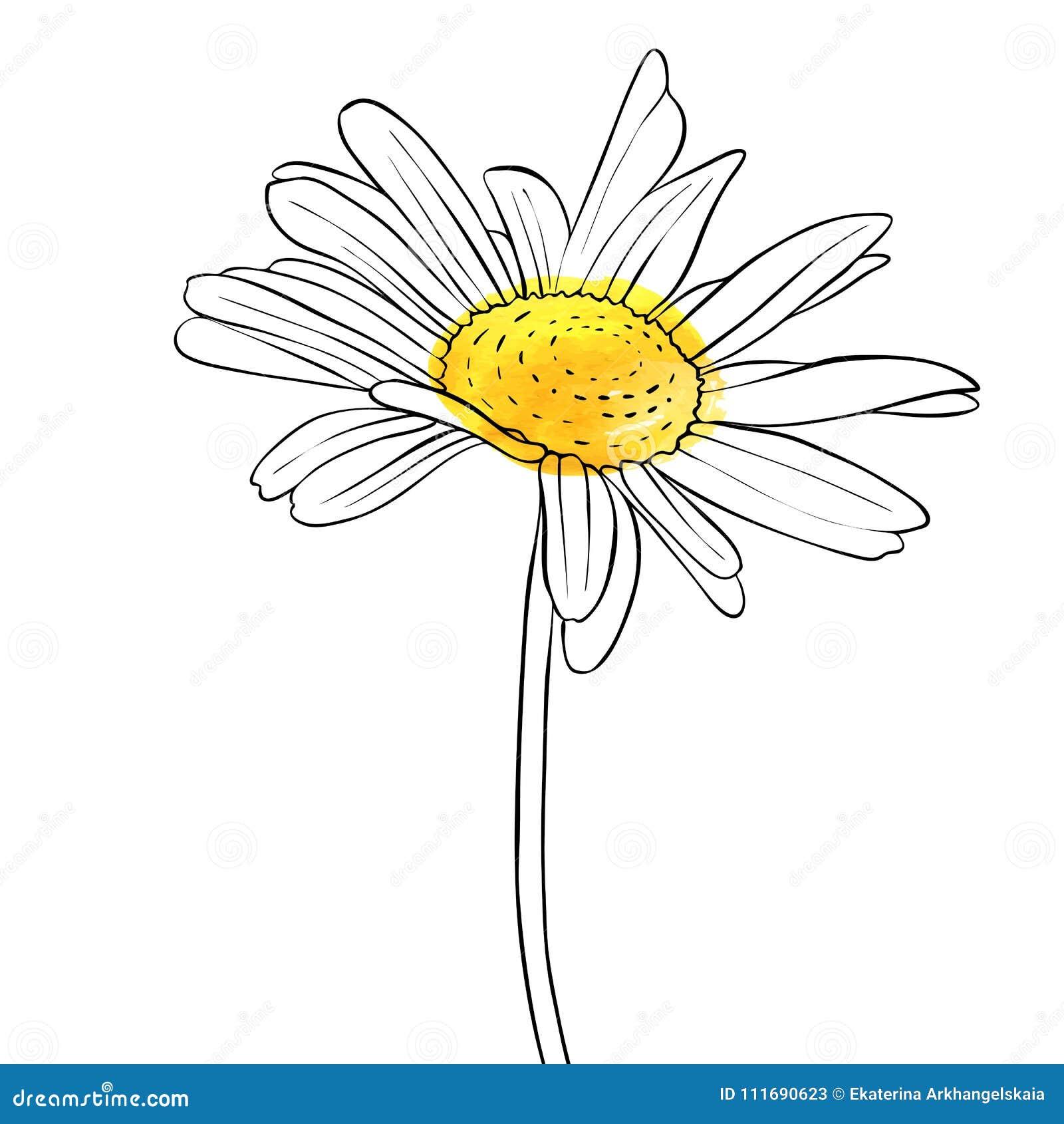 Dibujo de margarita una flor para imprimir y pintar