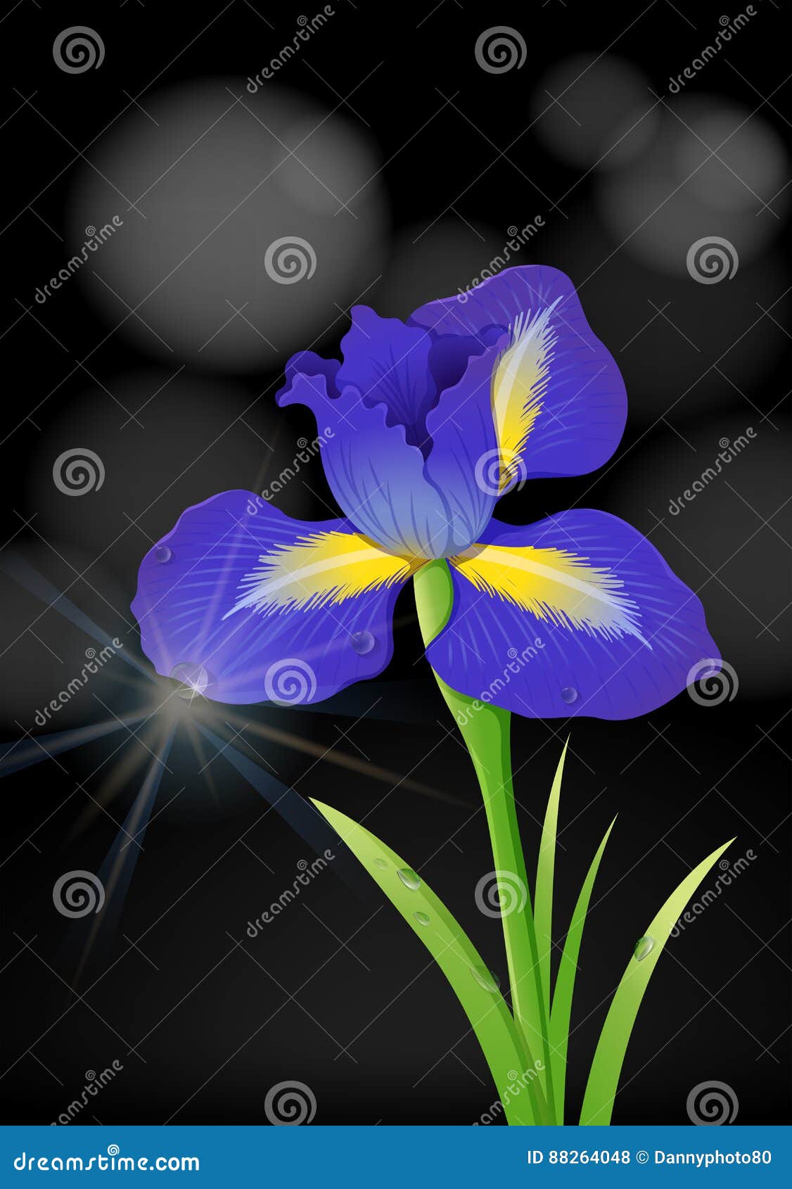 Flor Del Iris En Fondo Negro Ilustración del Vector - Ilustración de cubo, hojas: 88264048 Flor Del Iris En Fondo Negro Ilustración del Vector - Ilustración de cubo, hojas: 88264048
