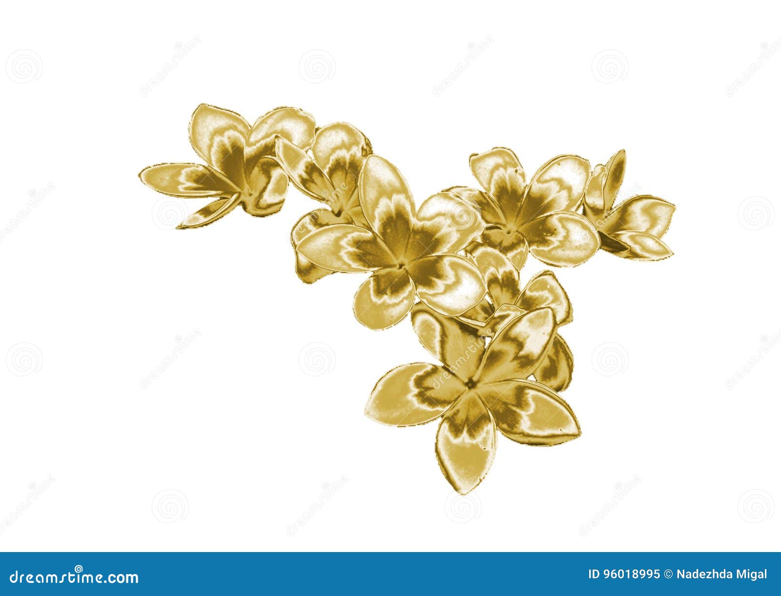 Flor dourada imagem de stock. Imagem de rosas, tulipas - 96018995