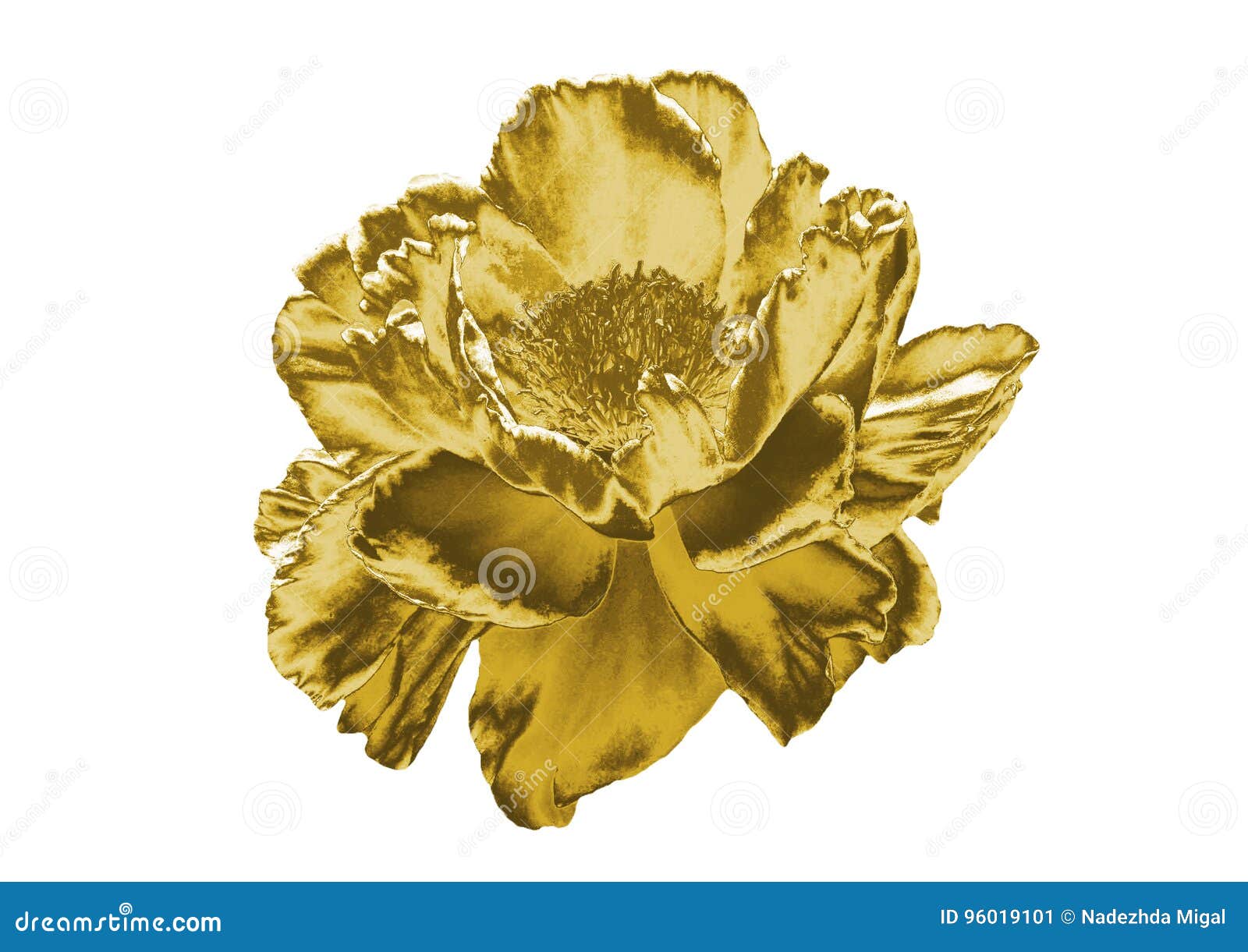 Flor dourada imagem de stock. Imagem de buquê, branco - 96019101