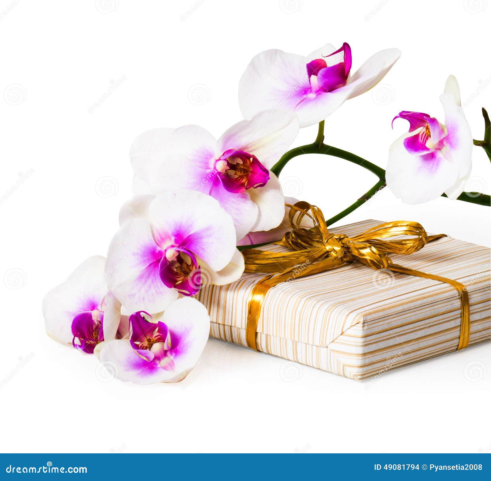 Flor E Caixa De Presente Da Orquídea Foto de Stock - Imagem de verde,  casamento: 49081794