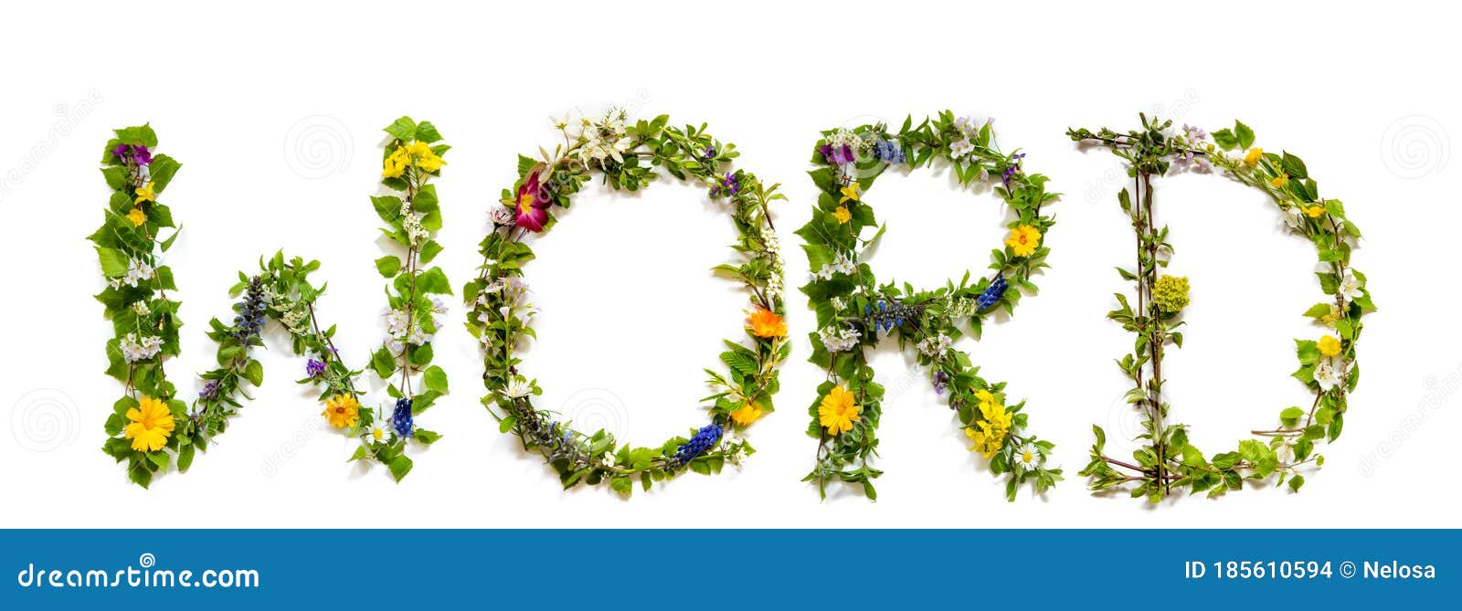 Flor E Letra Florescente Construindo Palavra Em Inglês Foto de Stock -  Imagem de arranjo, jardim: 185610594