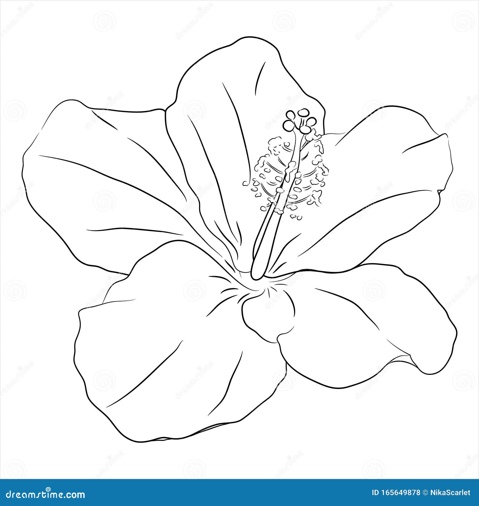 Flor hibiscus ilustración del vector. Ilustración de resorte - 165649878
