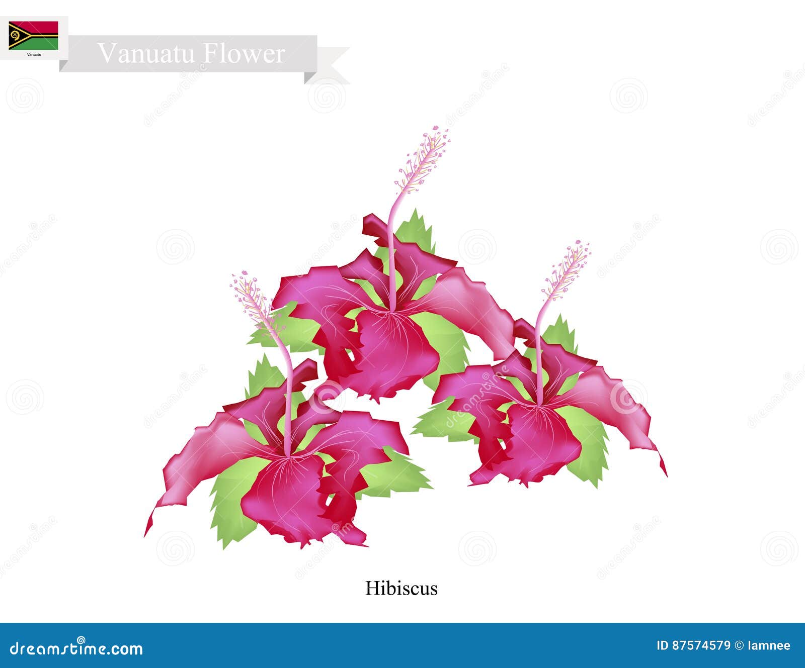 Flor Nacional De Vanuatu, Las Flores Del Hibisco Ilustración del Vector -  Ilustración de hibisco, chino: 87574579