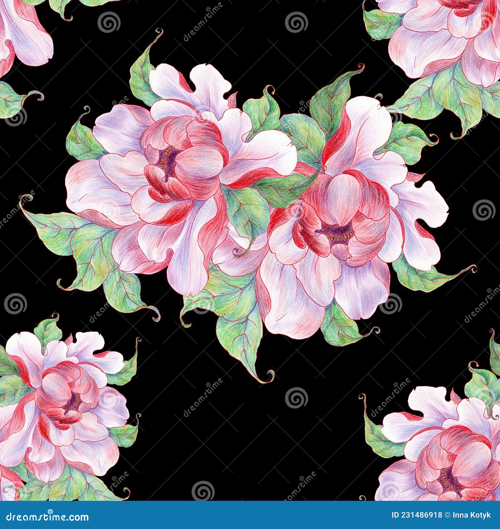 Quadro De Peões Sobre Fundo Branco. Flor Rosa De Pedônia Com Folhas.  Ilustração Stock - Ilustração de peônias, desenho: 240391312