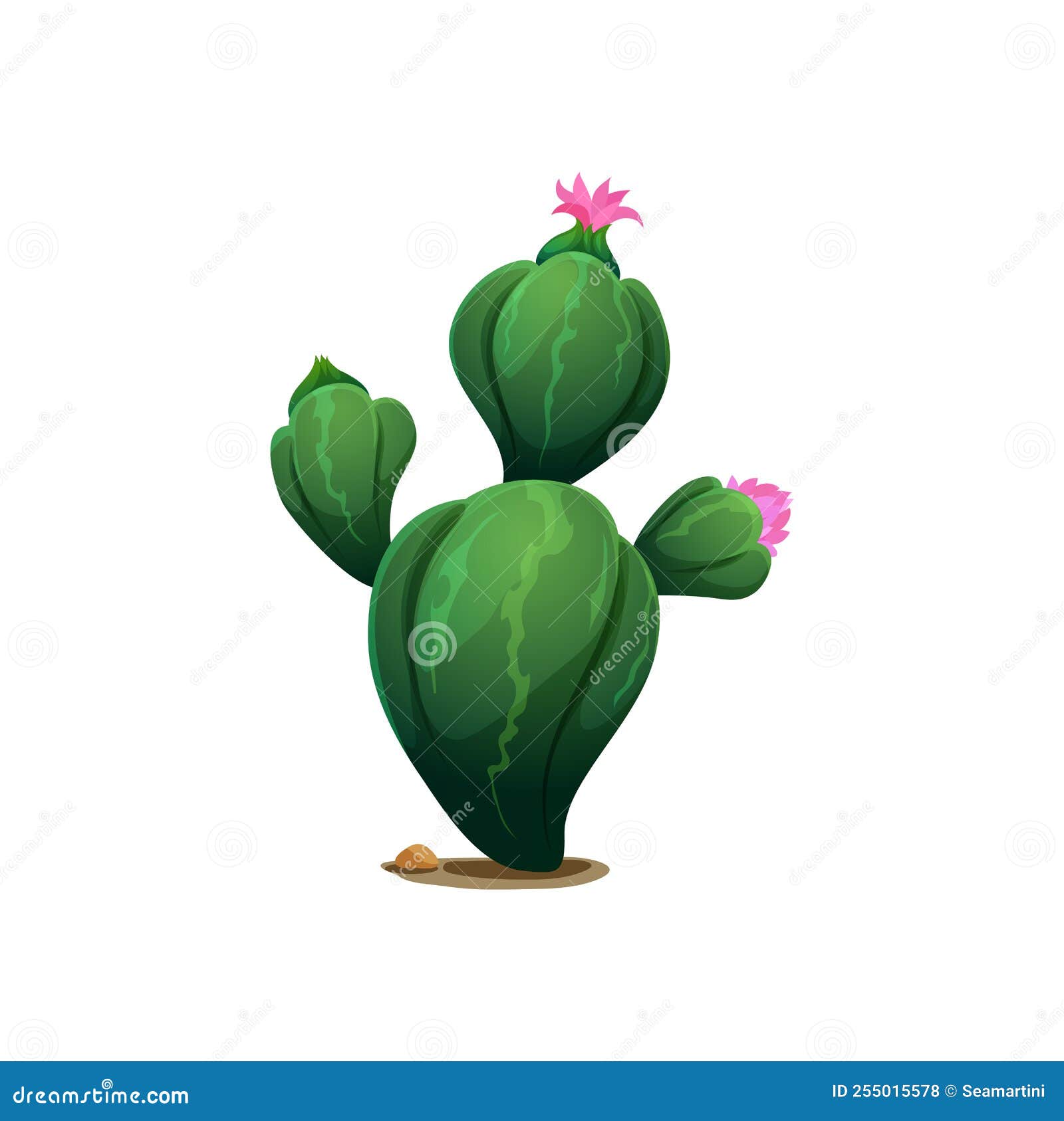 Cactus Deserto Planta Flor Flora Cactos De Desenhos Animados Suculentos.  Planta De Cactos Espinhoso Espinhoso Espinhoso. Deserto Mexicano Tropical  Cacto Verão Jardim Planta. Houseplant Vetor Exótico Cacto Verde Flor  Deserto. Royalty Free