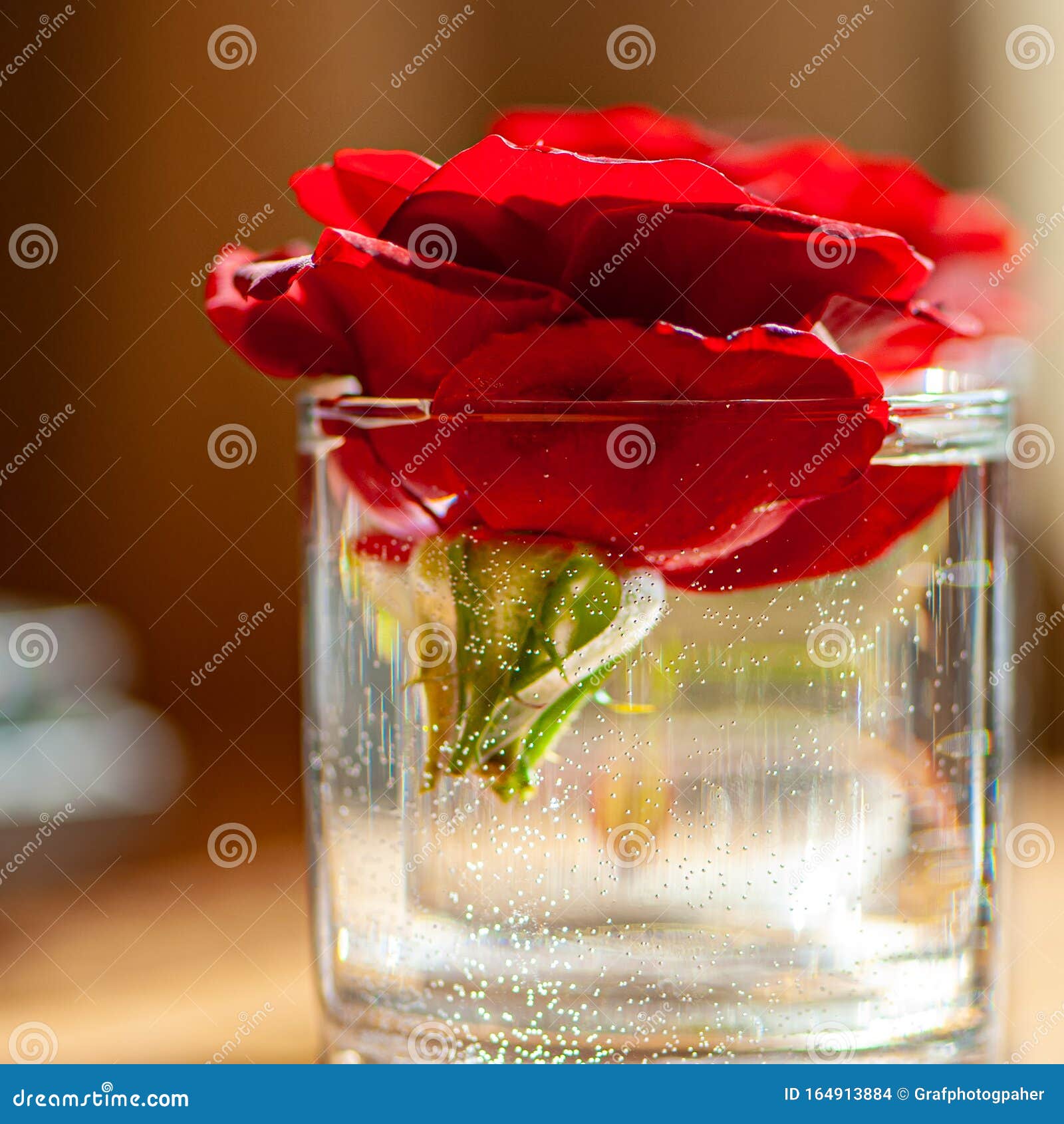 proporcionar Disturbio Producto Flor Rosa Roja En Un Vaso Con Agua En El Interior Foto de archivo - Imagen de casa, hoja: 164913884 proporcionar Disturbio Producto Flor Rosa Roja En Un Vaso Con Agua En El Interior Foto de archivo - Imagen de casa, hoja: 164913884