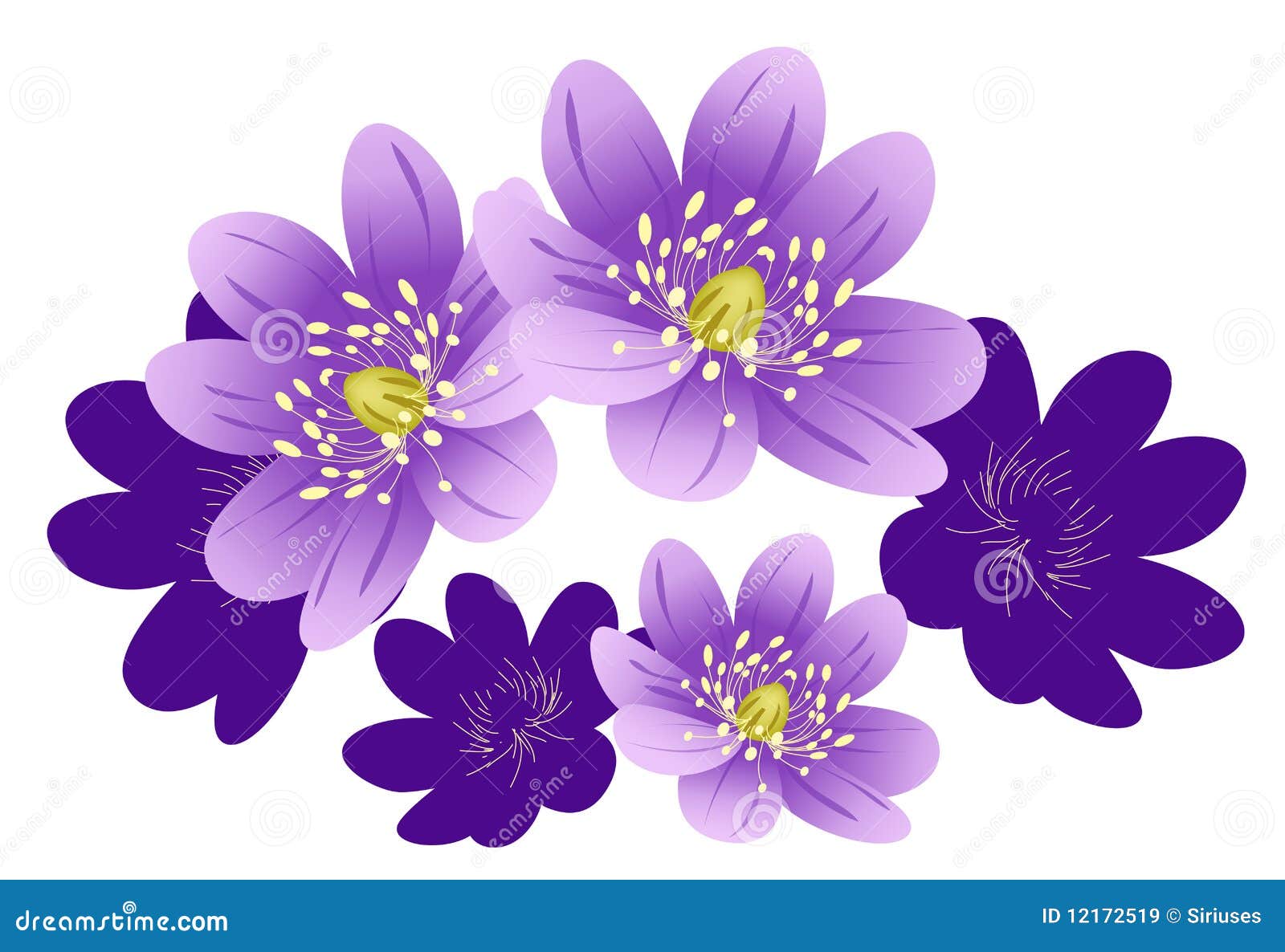 Flor roxa ilustração stock. Ilustração de plantas, arte - 12172519, image size:1600x1186