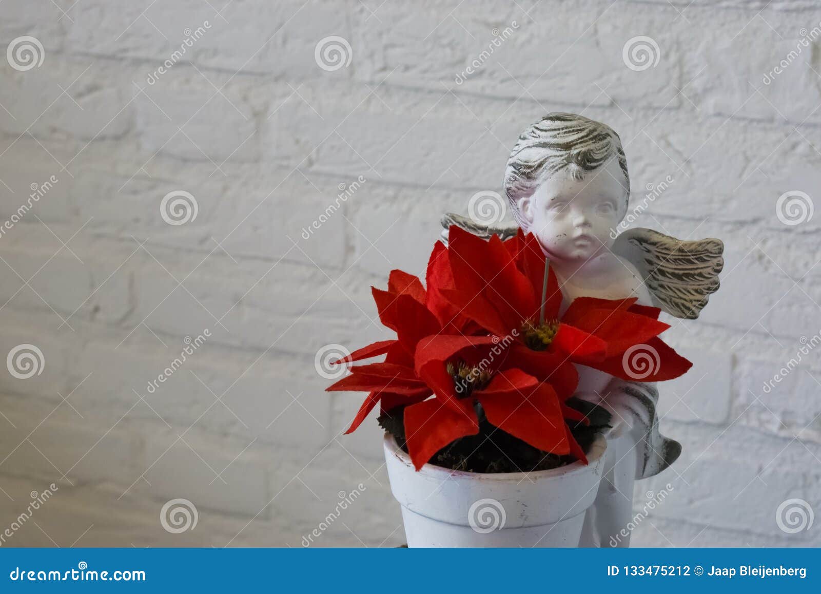 Flor Vermelha Da Estrela Do Natal Em Um Vaso De Flores Com Estátua Do Anjo,  Decoração Bonita Do Natal Isolada Em Uma Parede De Ti Foto de Stock -  Imagem de indicadores,