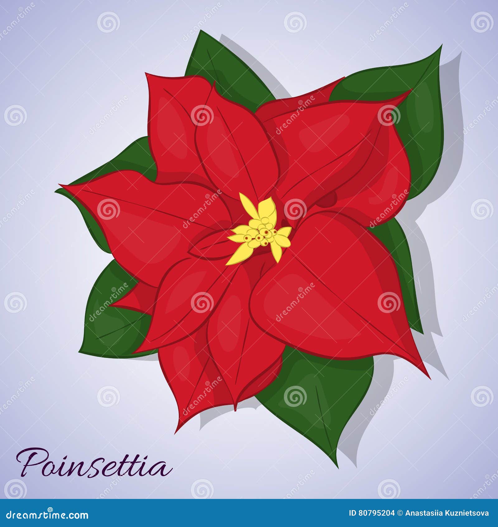 Flor Vermelha Da Poinsétia Estrela Do Natal Estilo Simples Dos Desenhos  Animados Ilustração Do Vetor Ilustração do Vetor - Ilustração de planta,  presente: 80795204