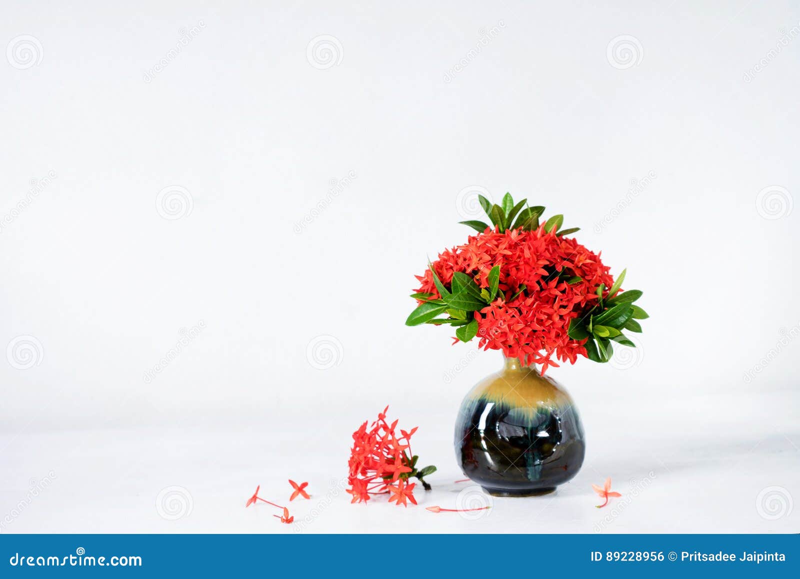 Flor Vermelha Do Ixora No Vaso Cerâmico Azul Foto de Stock - Imagem de  decorativo, textura: 89228956