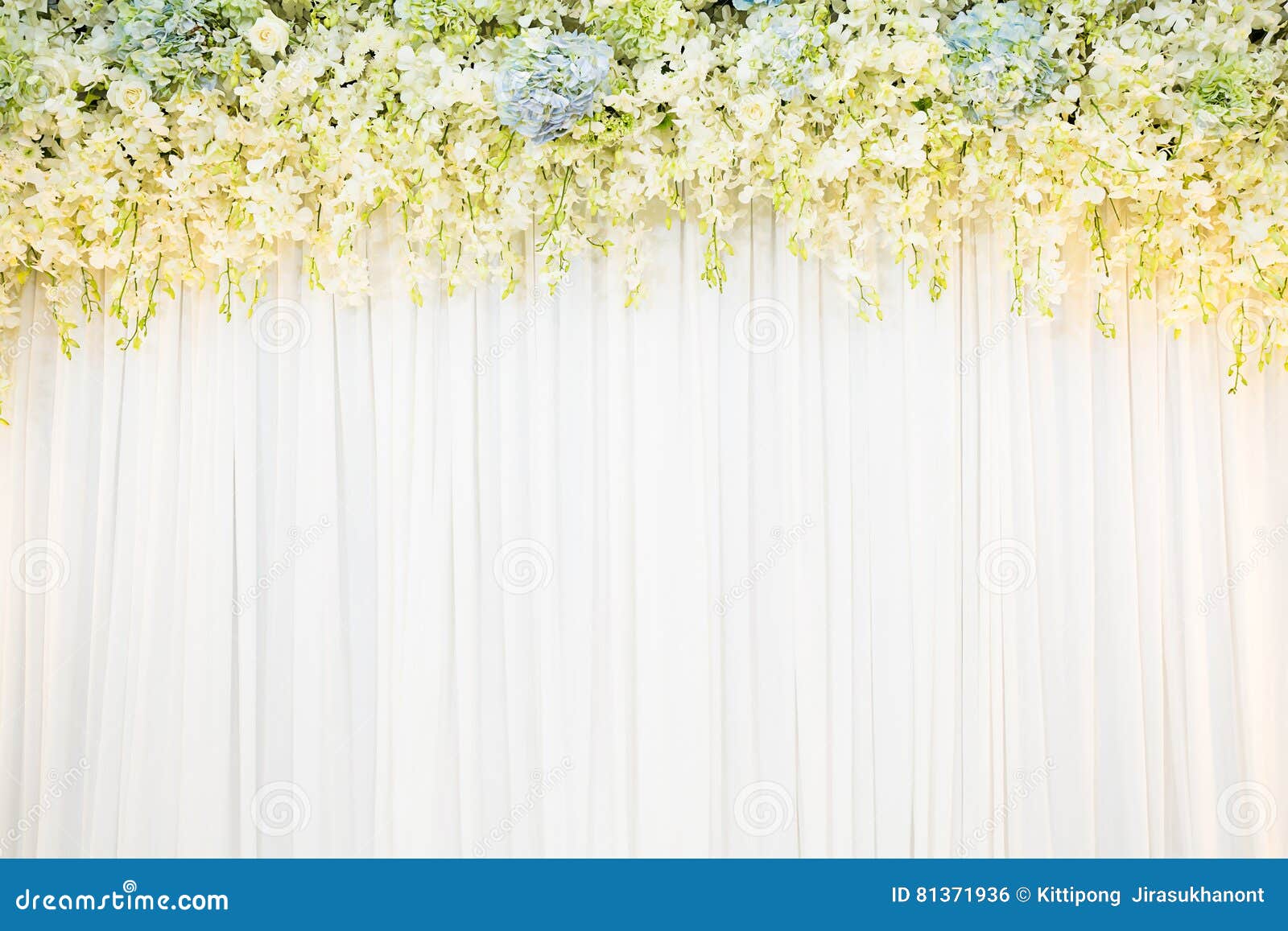 Flora Backdrop with White Cloth Stock Photo - Image of nature, leaf ...