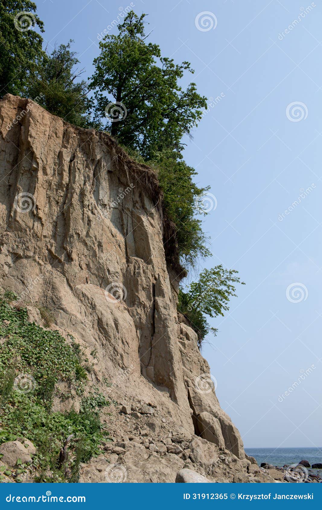 Flora on Cliff. stock image. Image of park, horizon, eroded 31912365