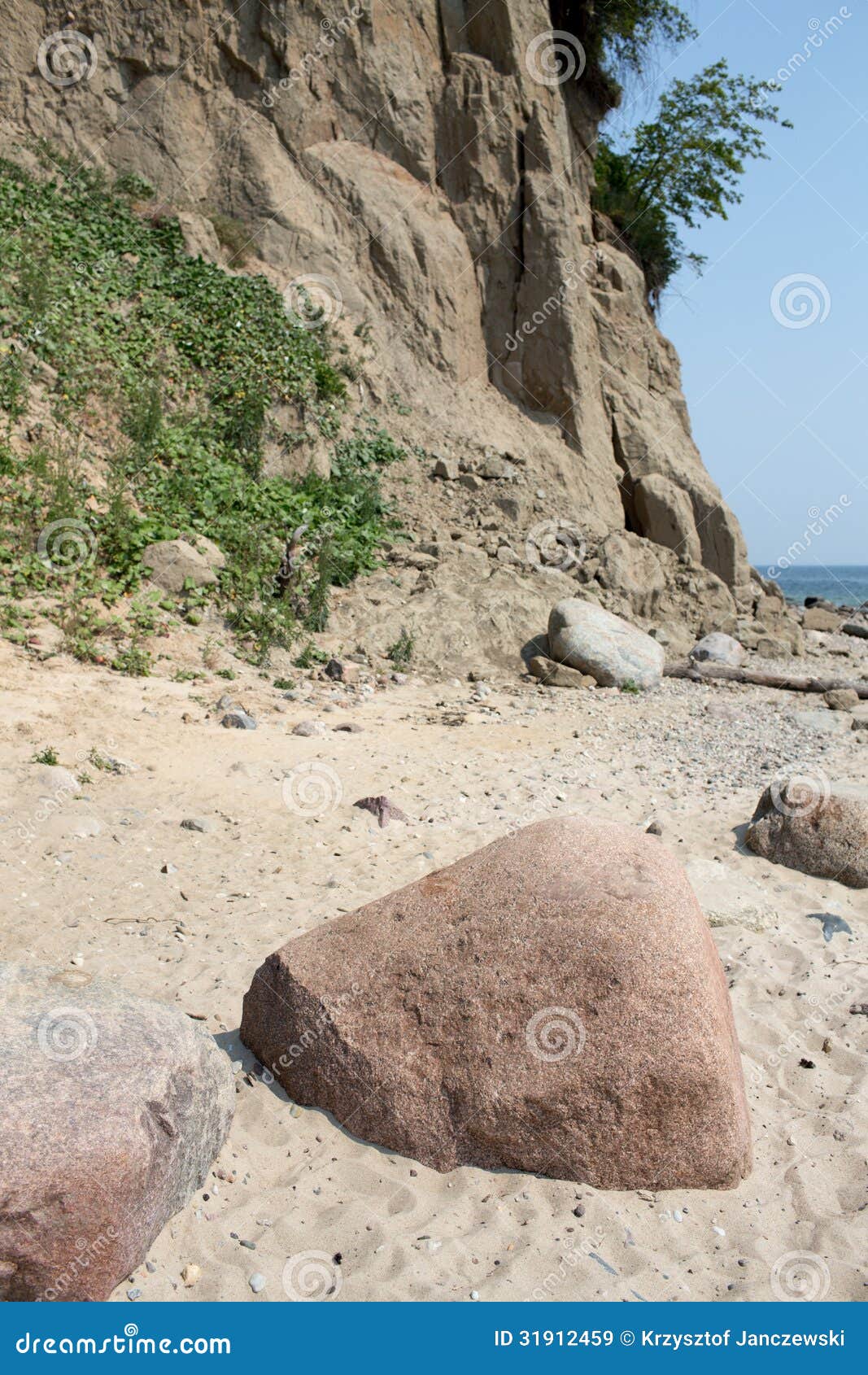Flora on Cliff. stock image. Image of beach, outdoor 31912459