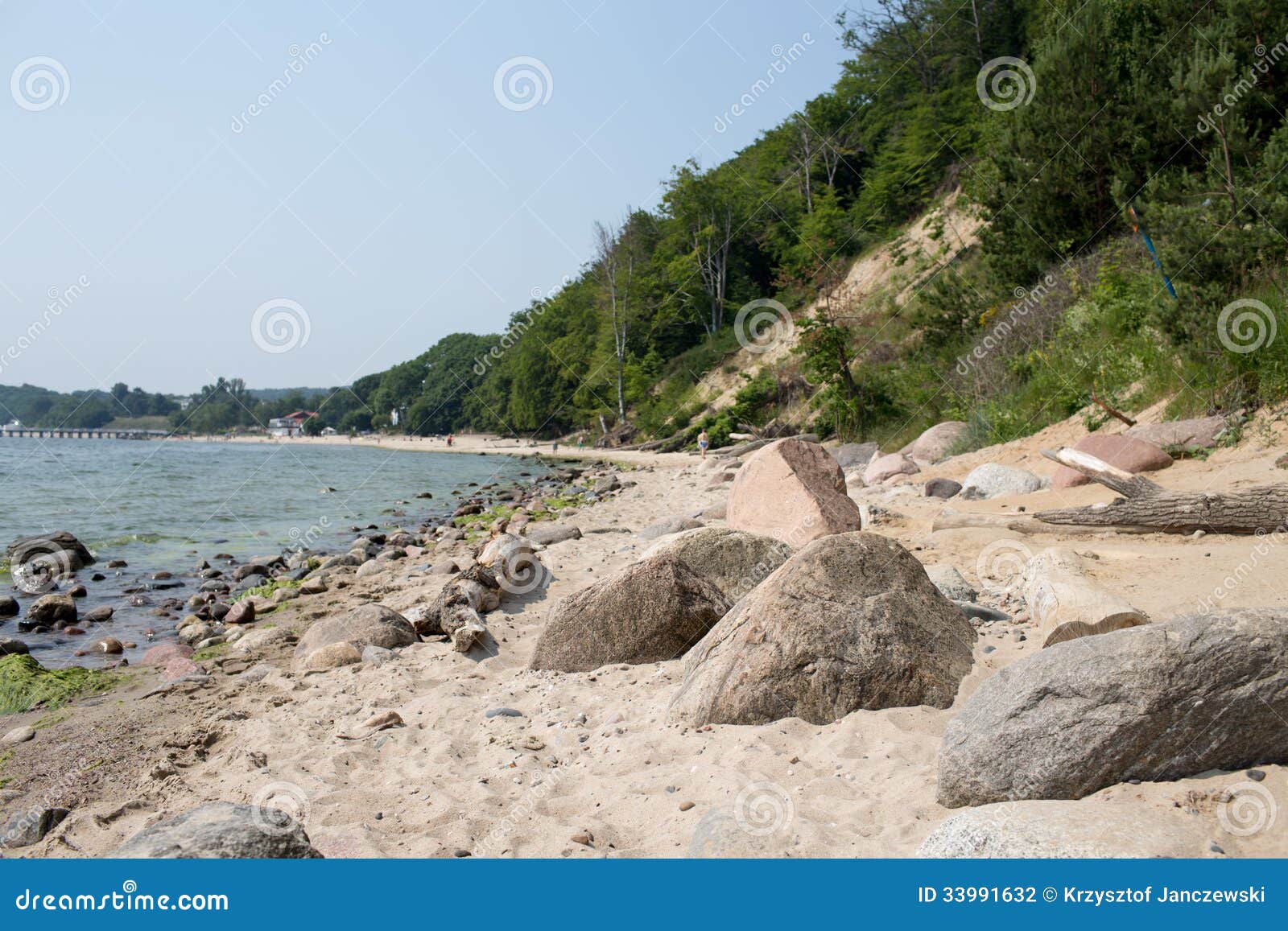 Flora on Cliff. stock photo. Image of gdansk, cliff, baltic 33991632