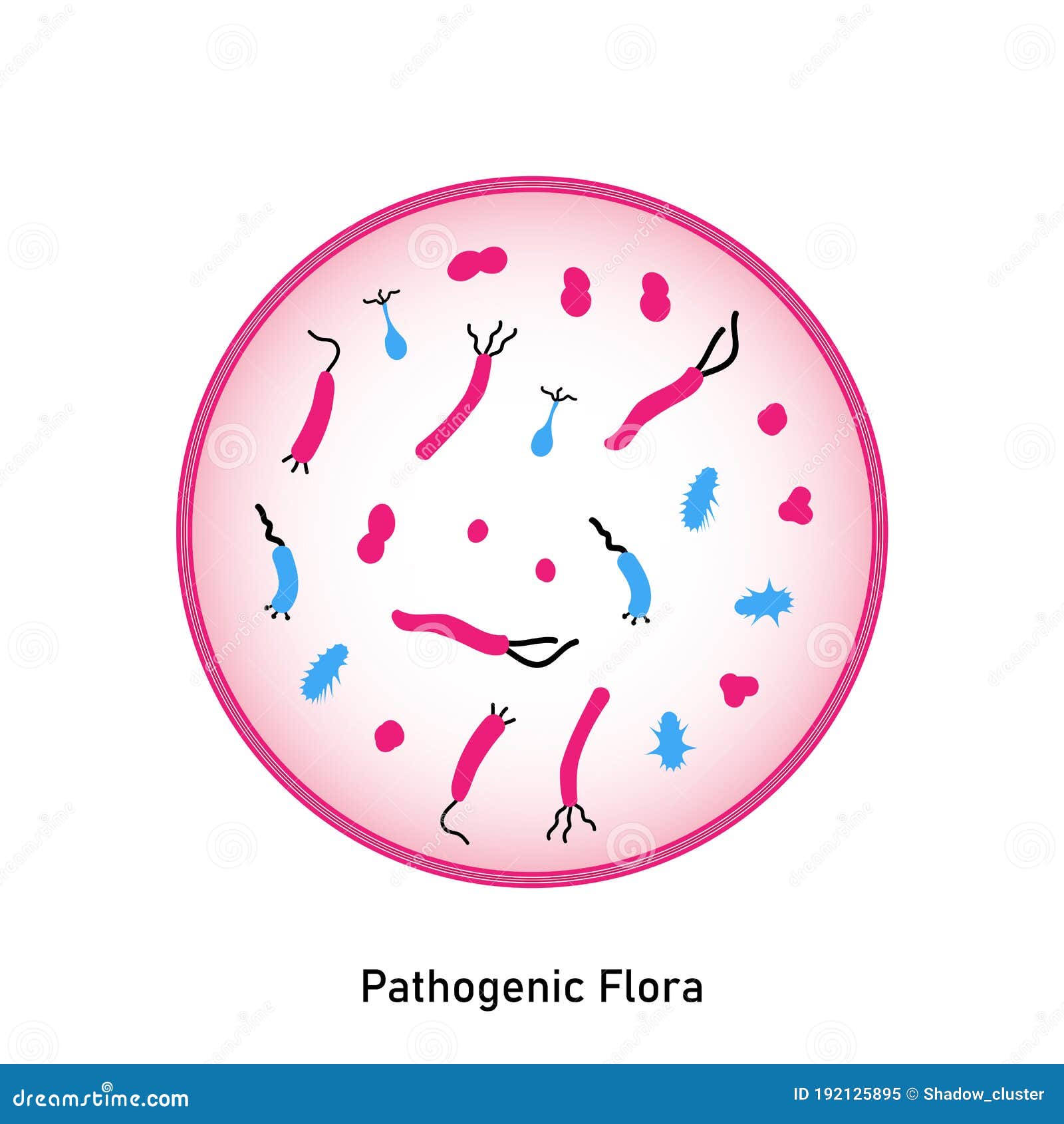 Flora Patógena De La Piel Y Las Membranas Mucosas Ilustración del Vector - Ilustración de microorganismo, peligro: 192125895