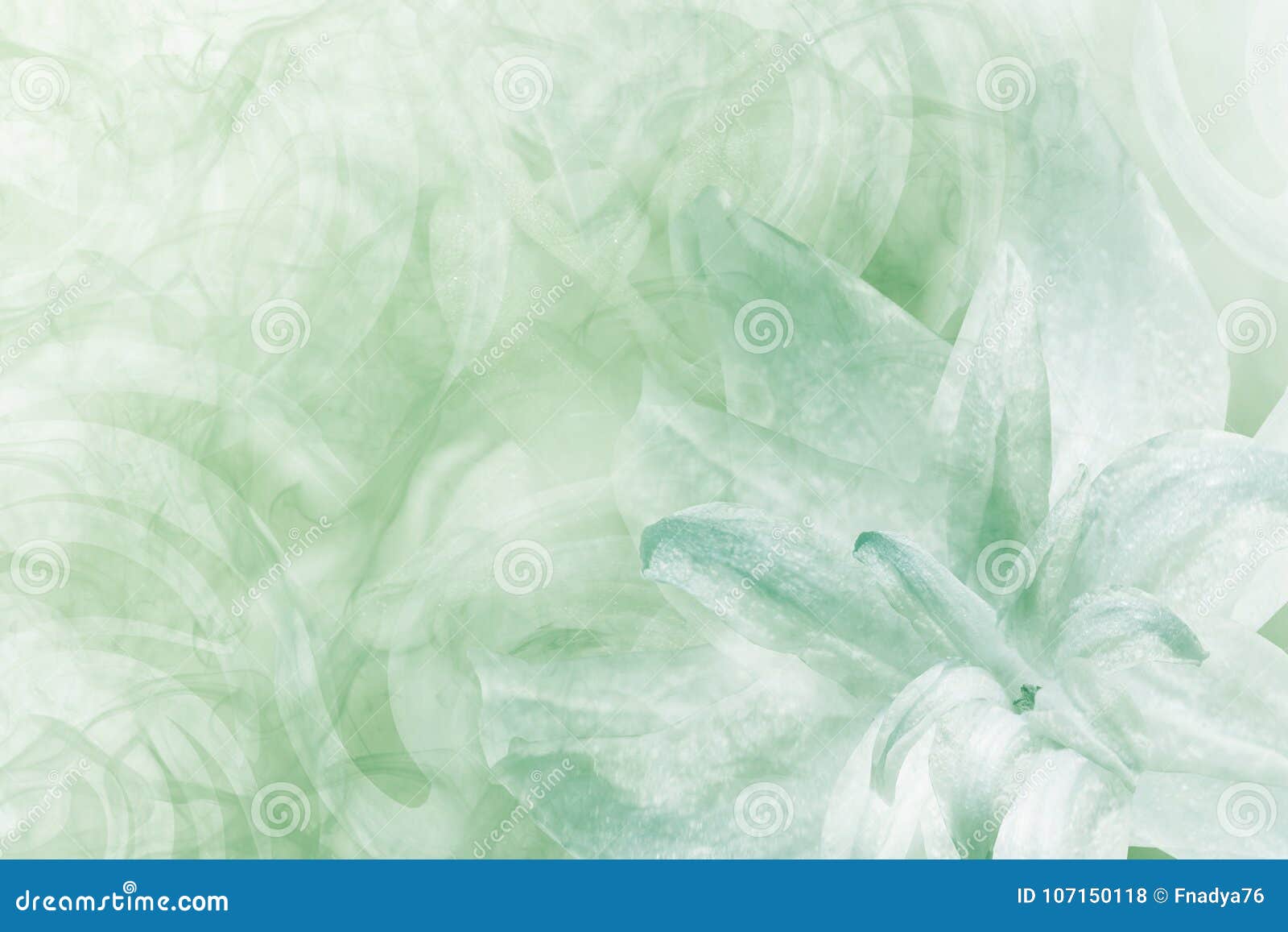 Green & white background Stock Photo by ©kritchanut 63350653
