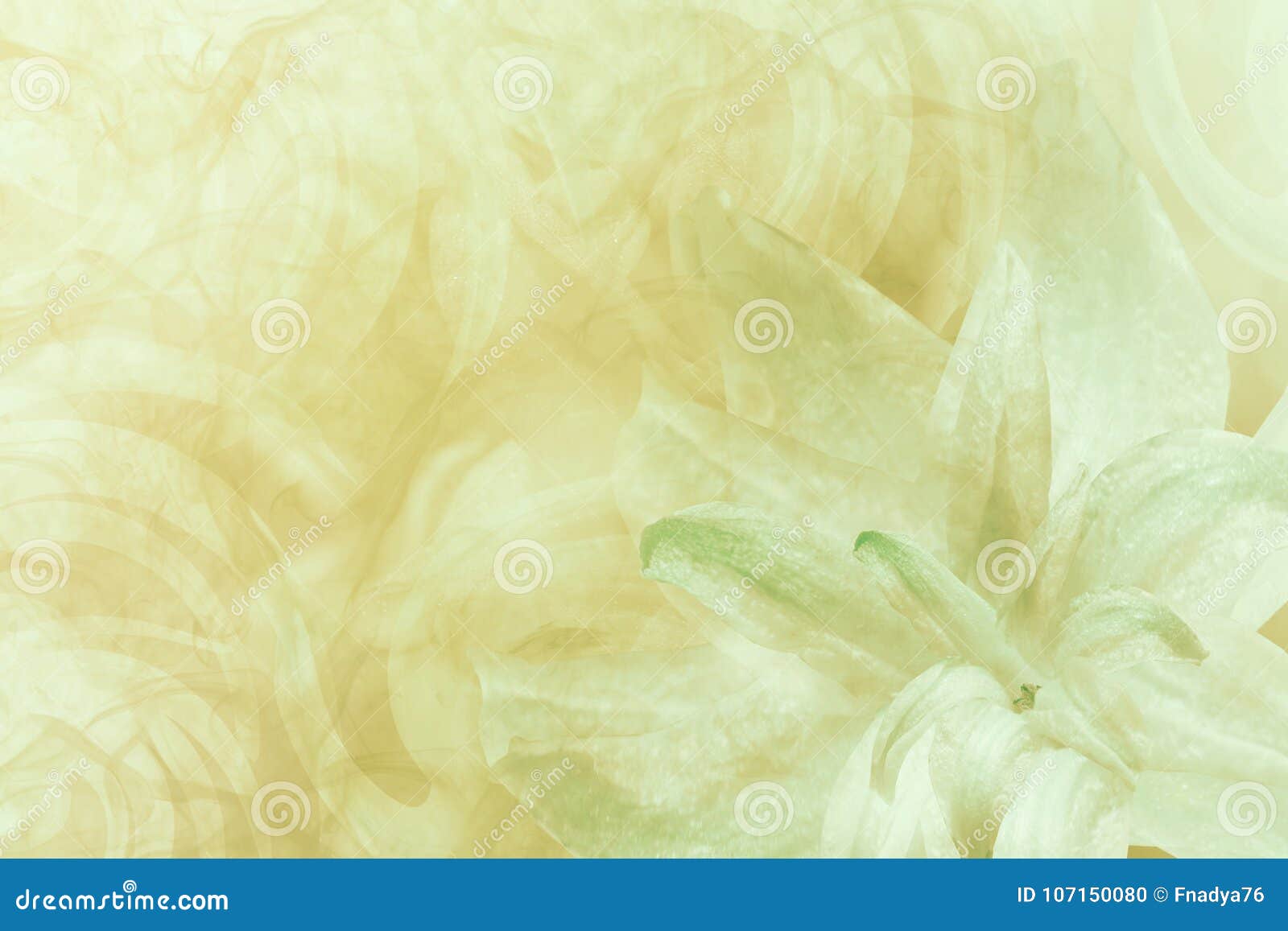 4,214,709 White Yellow Background Stock Photos - Free & Royalty-Free Stock  Photos from Dreamstime