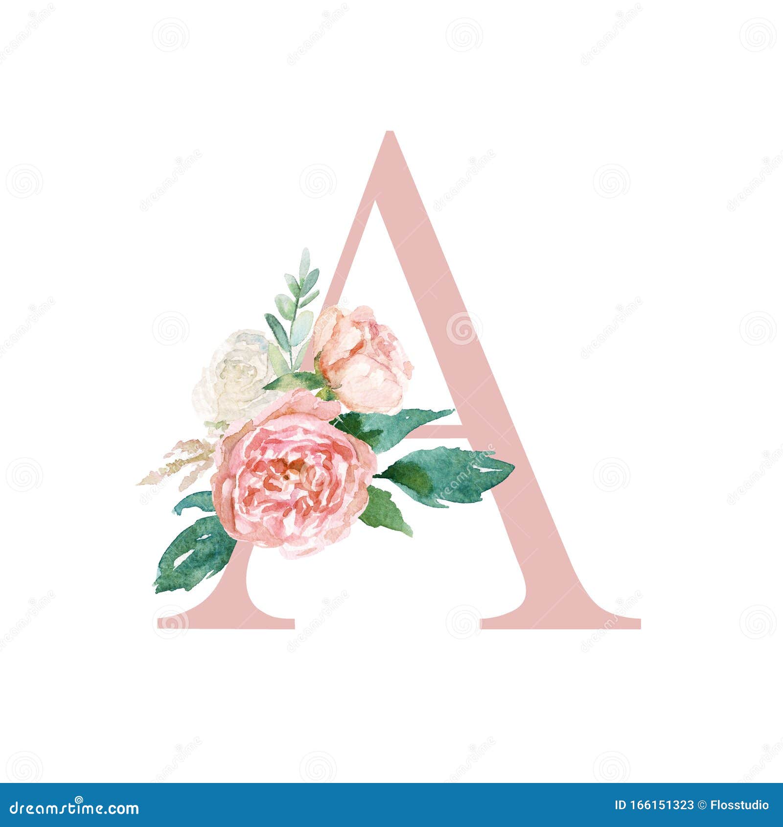 Floral Alphabet Blush Peach Color Letter A With Flowers Bouquet Composition Stock Illustration Illustration Of Leaves Drawing 166151323