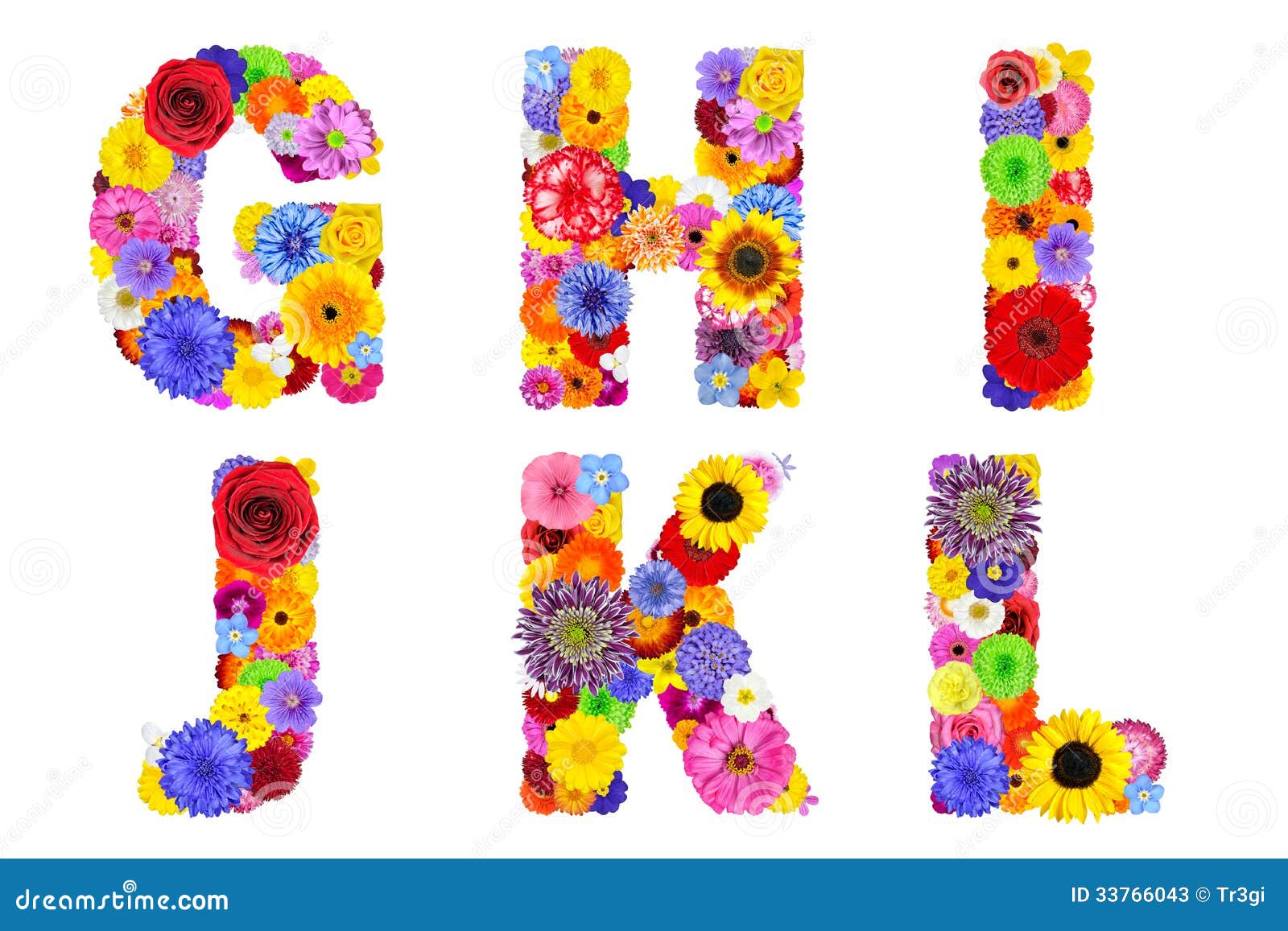 Floral Alphabet Isolated On White Letters G H I J K L Stock Image Image Of Large Nature
