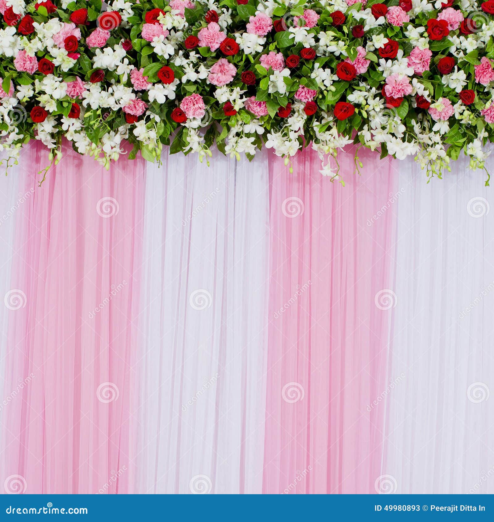 Floral backdrop stock image. Image of closeup, backdrop - 49980893