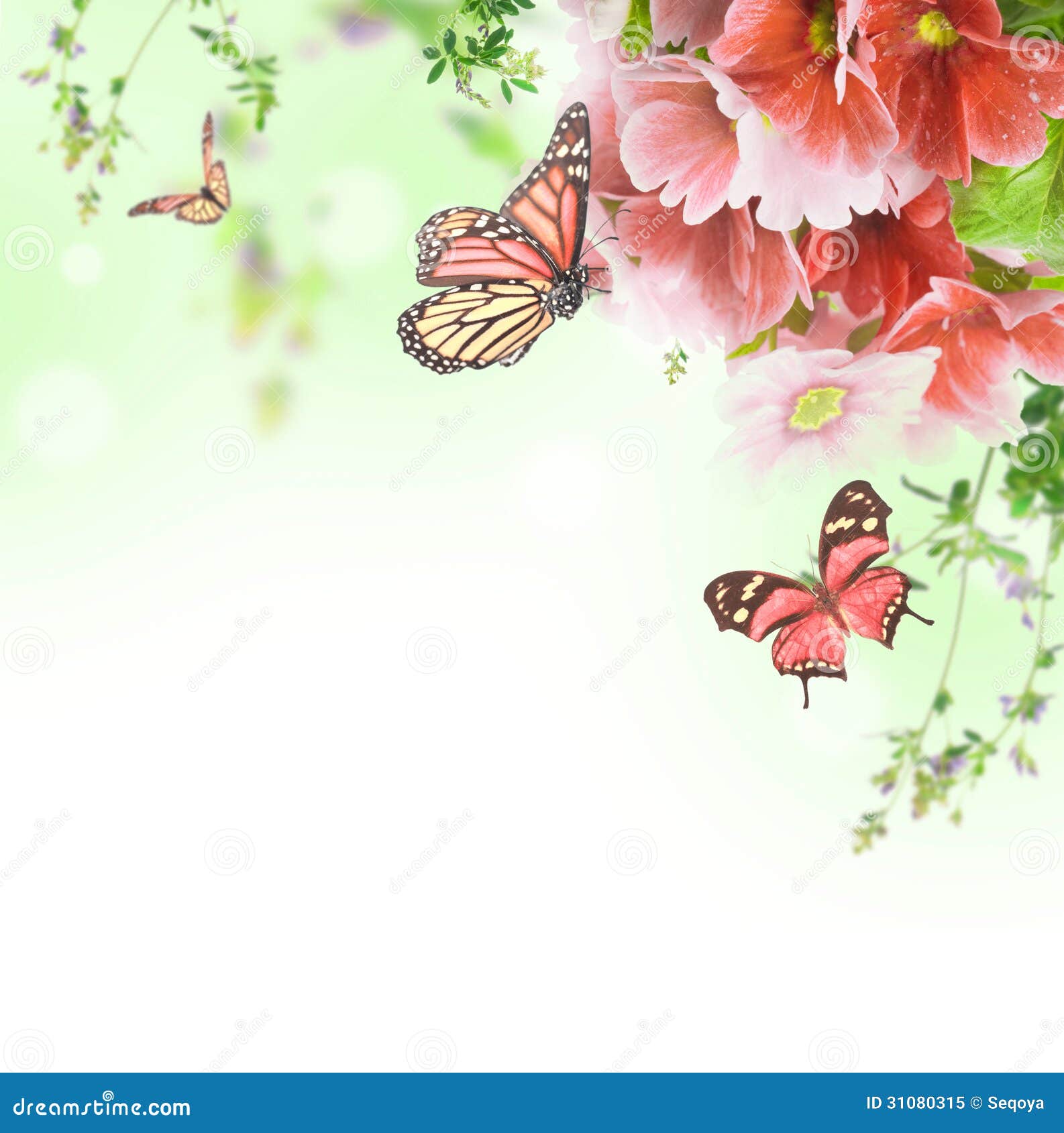 Floral Background and Butterfly Stock Illustration Illustration of