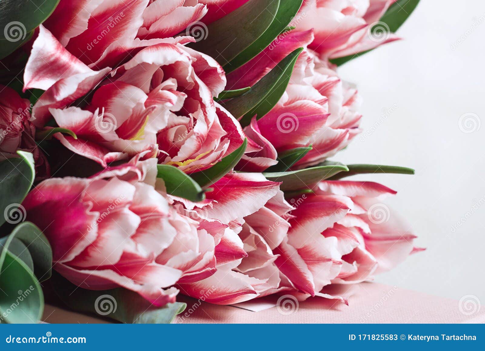 Floral Background with Copy Space. Flowers in Bloom. Close-up Beautiful ...