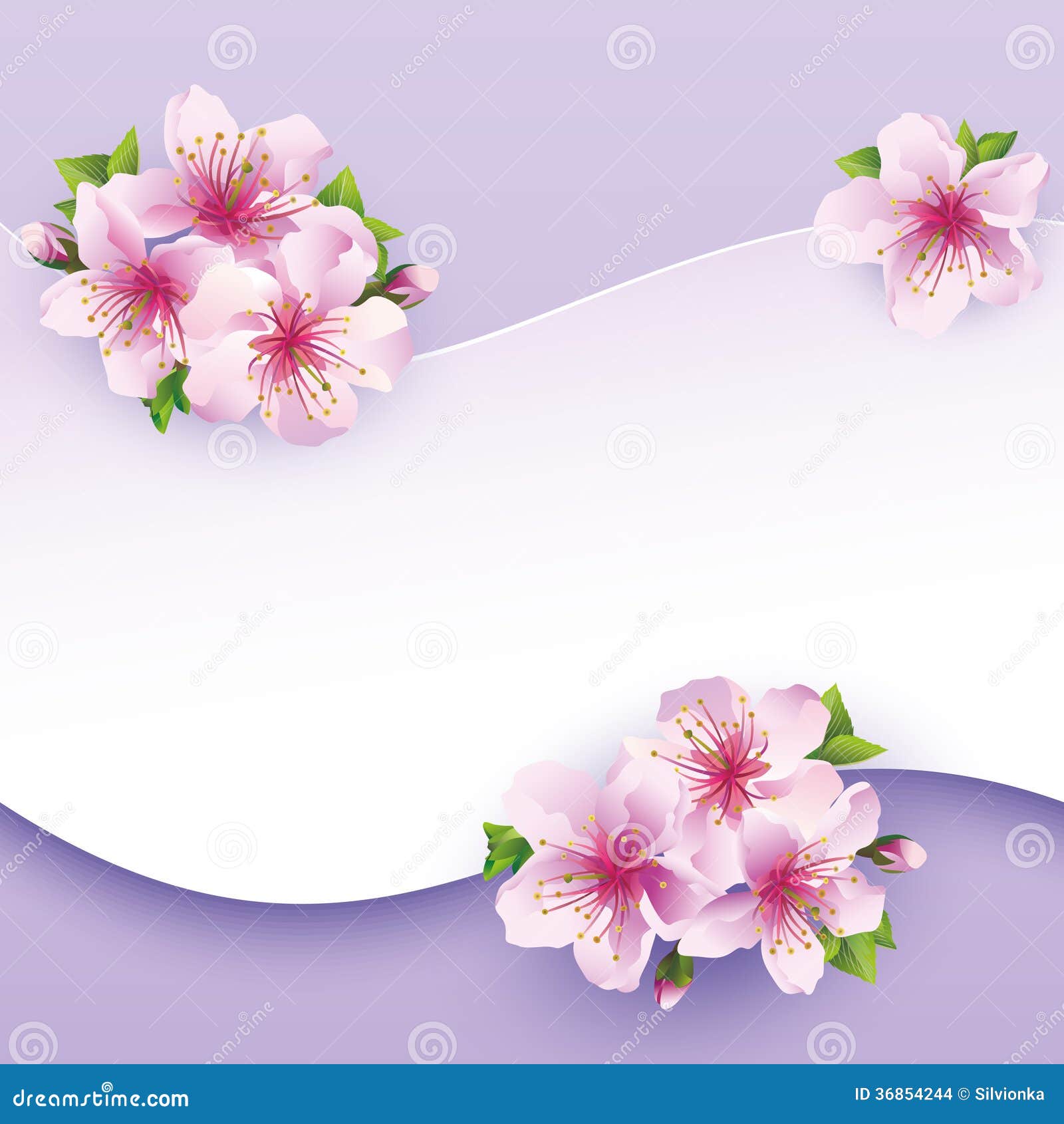 Floral background, greeting card with flower sakura. Greeting or invitation card. Stylish vector background. Vector illustration
