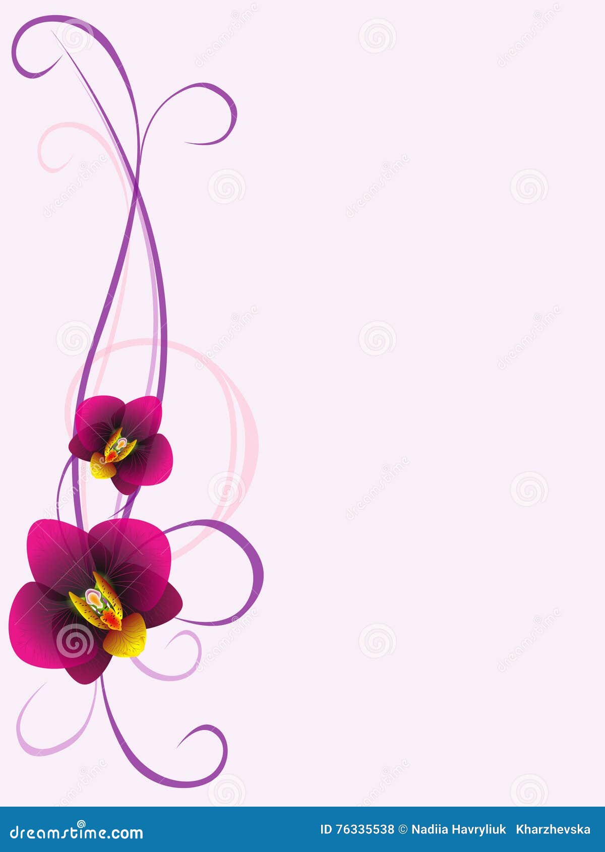 Floral Background with Orchid Flowers, Design Element. Stock Vector