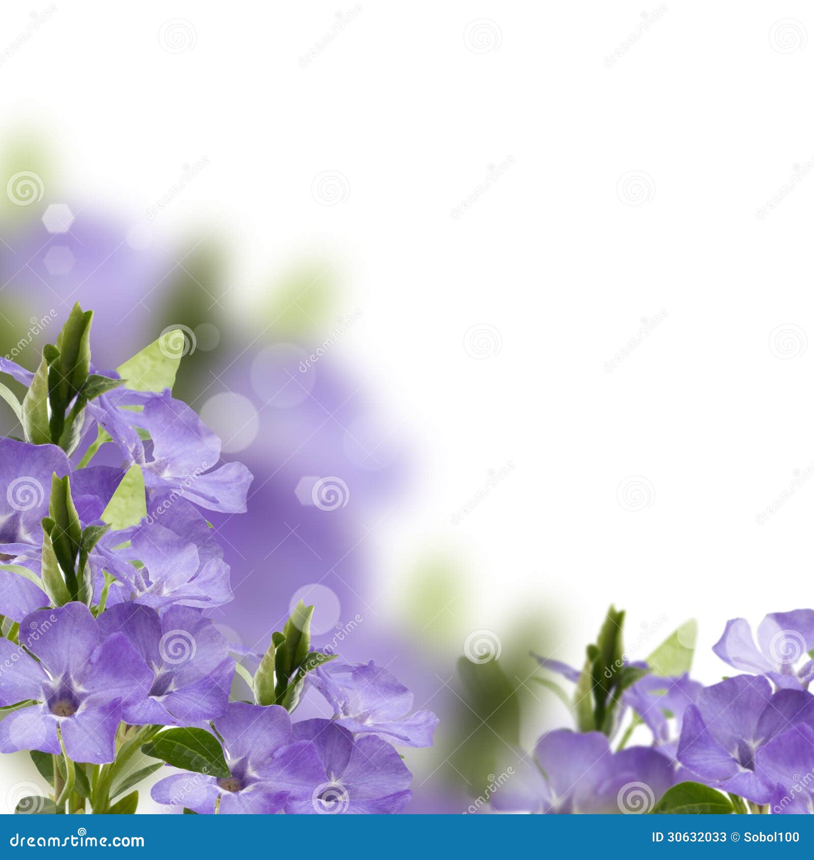 Floral Background From Periwinkle Stock Image - Image of ...